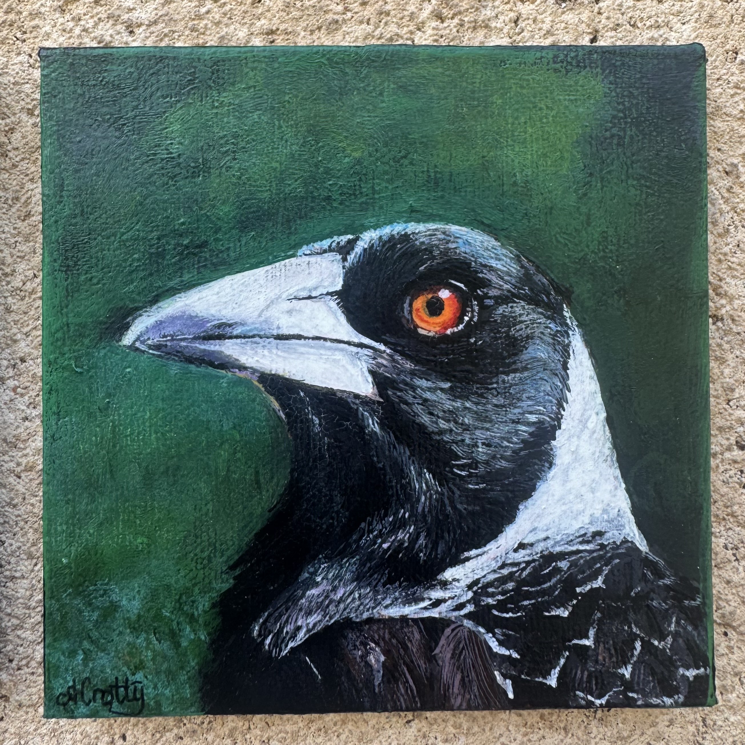 Magpie #1