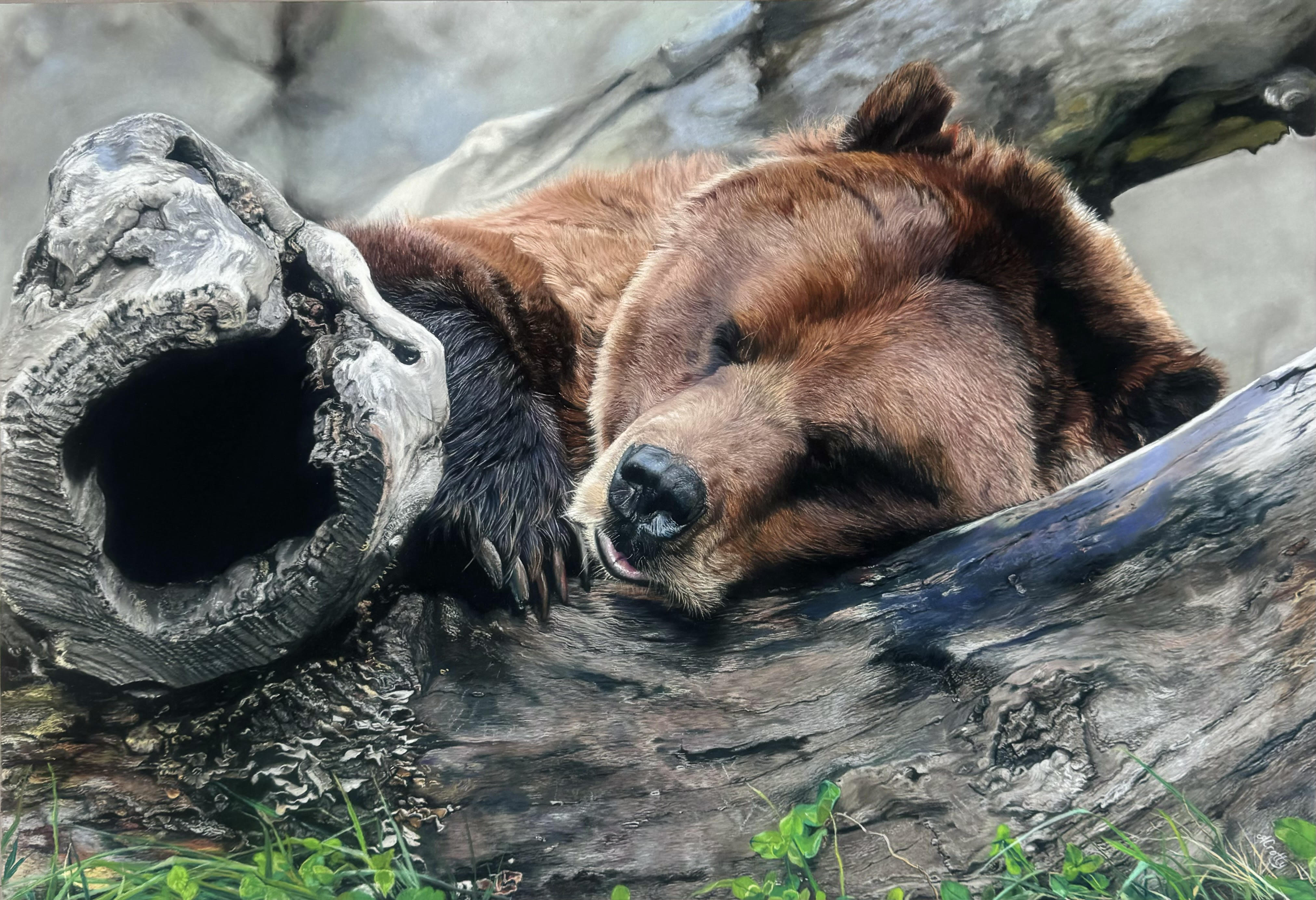 Sleepy Bear - Award Winning Artworks - SOLD