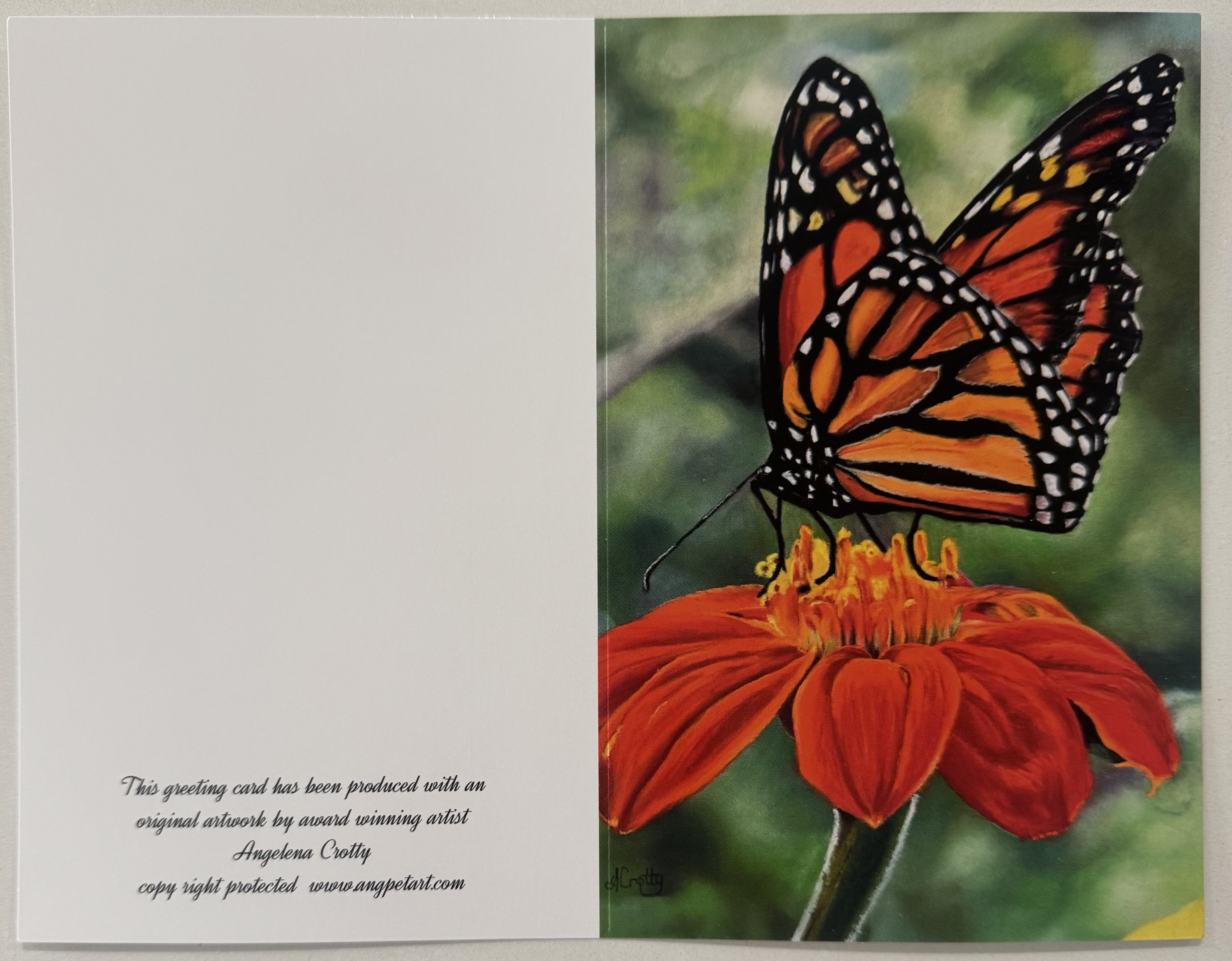 Butterfly Greeting Card