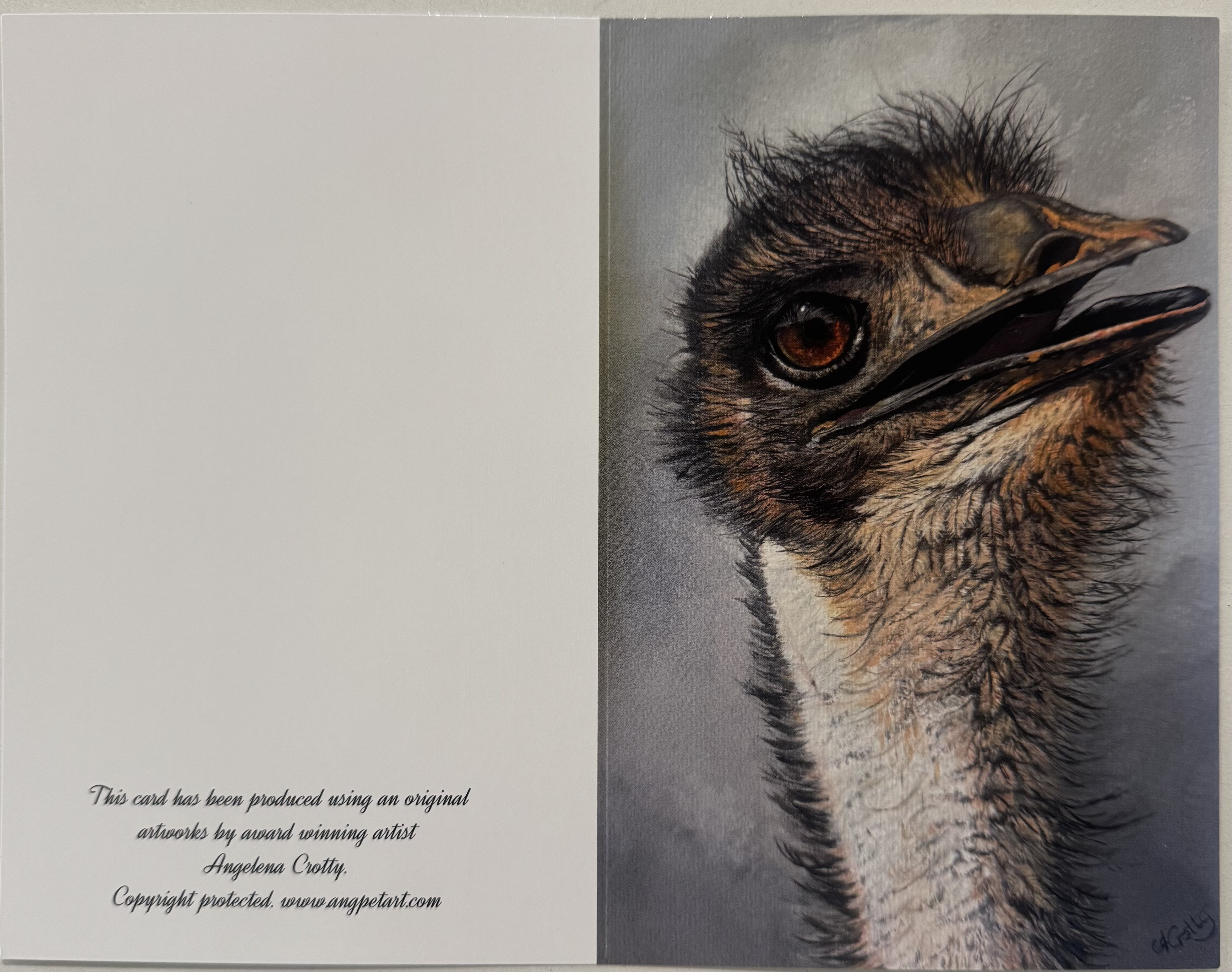 Ostrich Art Greeting Card
