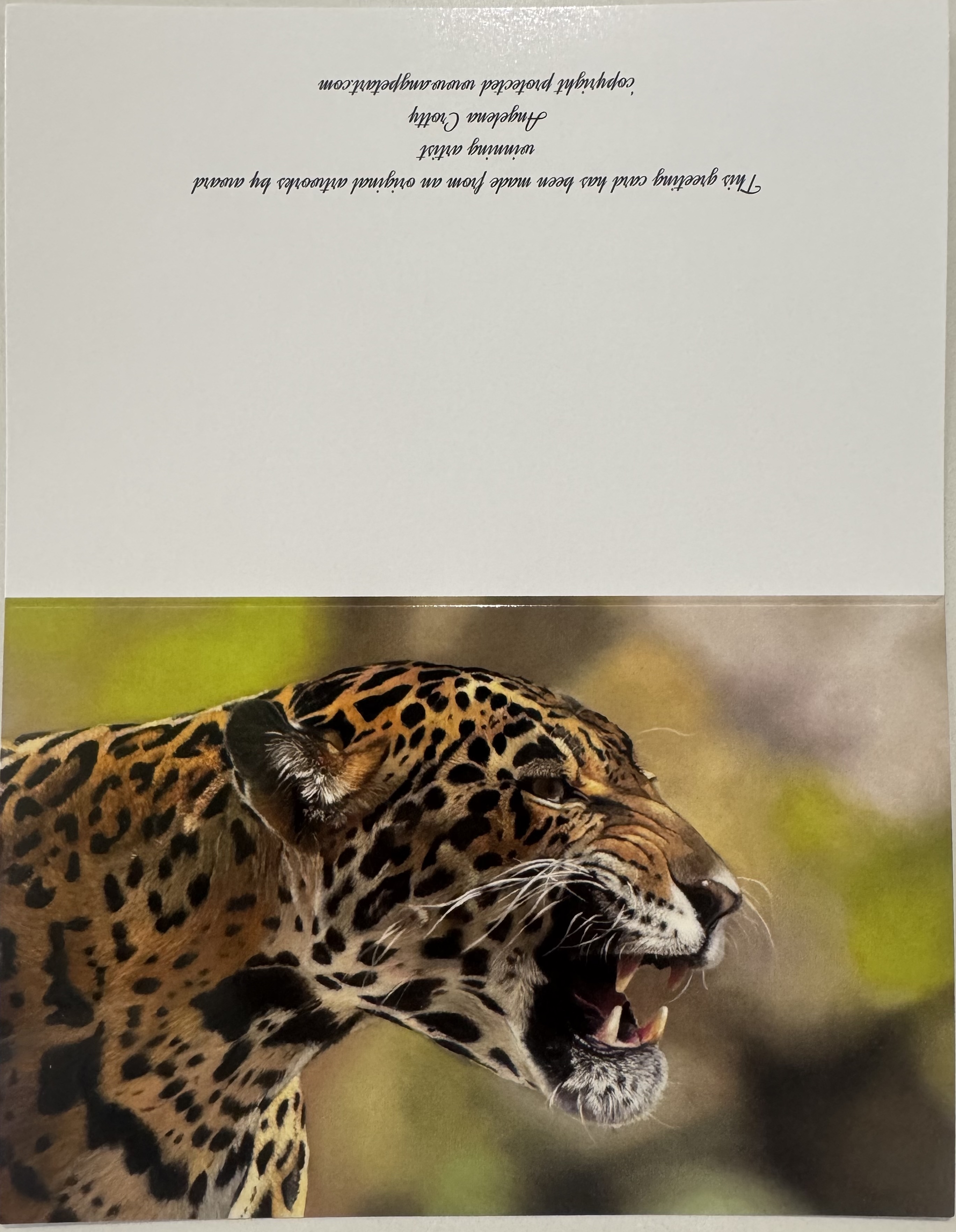 Jaguar Greeting Card