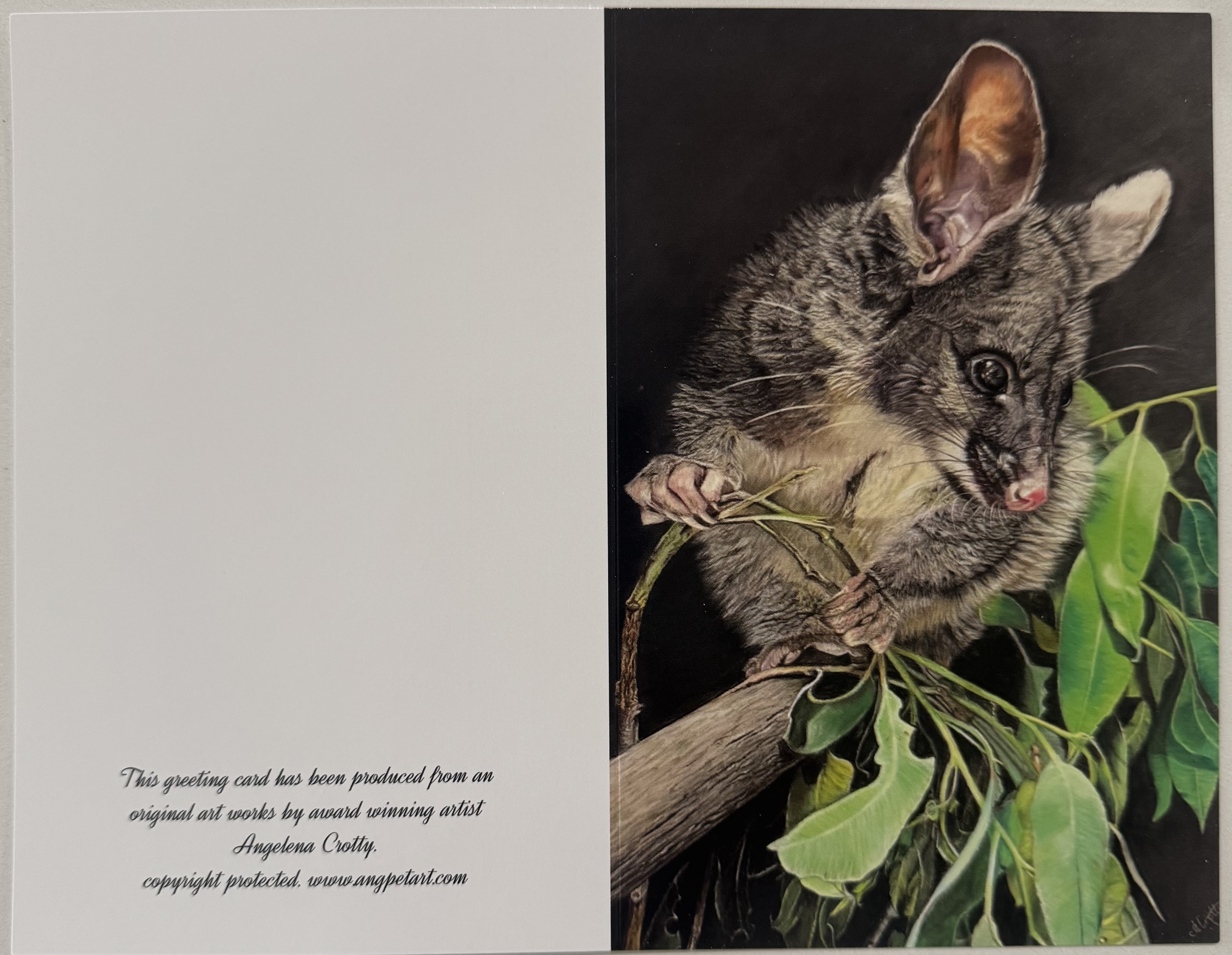 Greeting Card featuring a Brushtail Possum