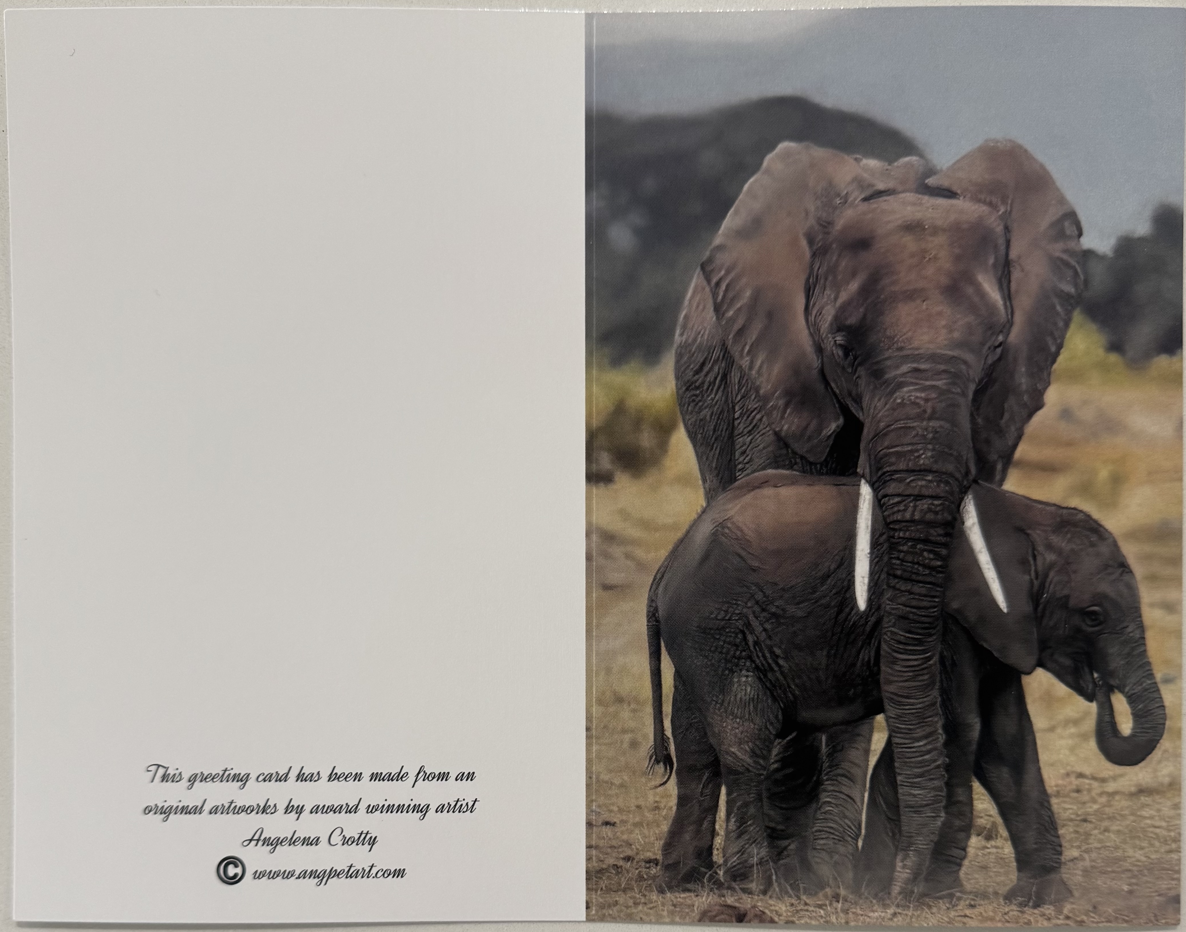 Elephant Family Greeting Card