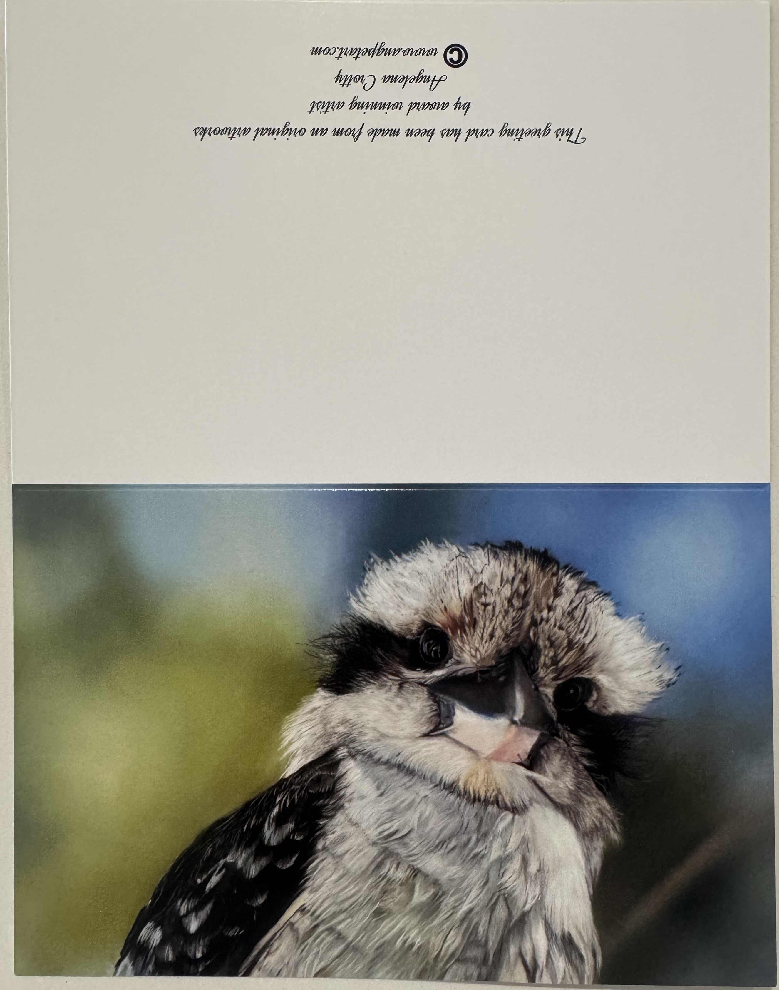 Australian Kookaburra Greeting Card