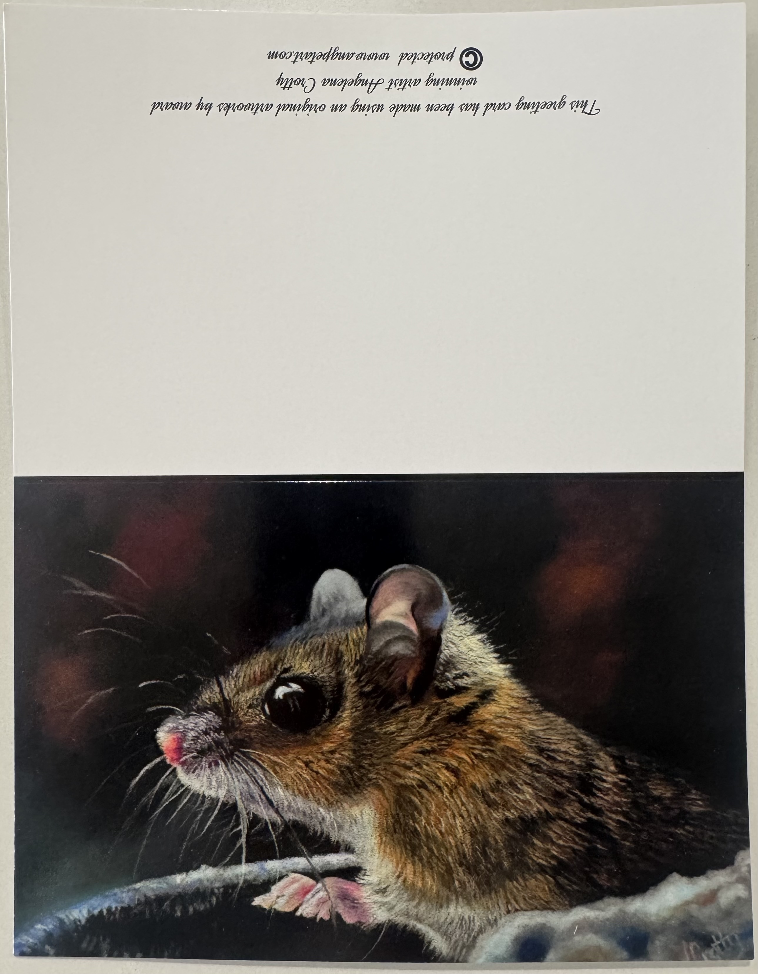 Mouse Greeting Card