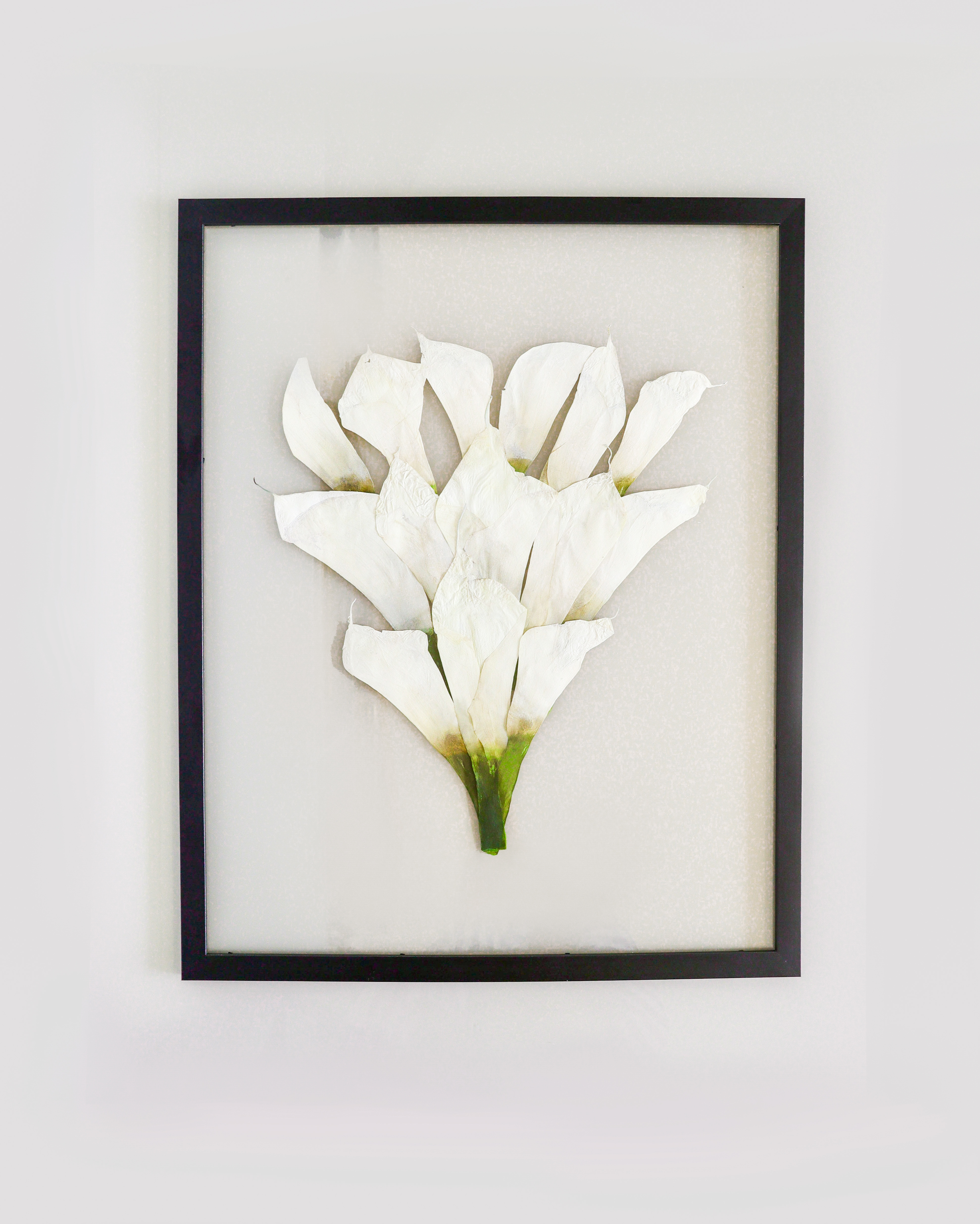 Eternização em moldura flutuante 45 x 60cm