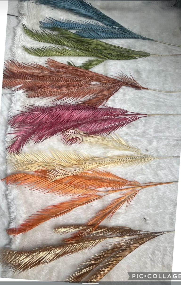 Colorful Decorative Feathers