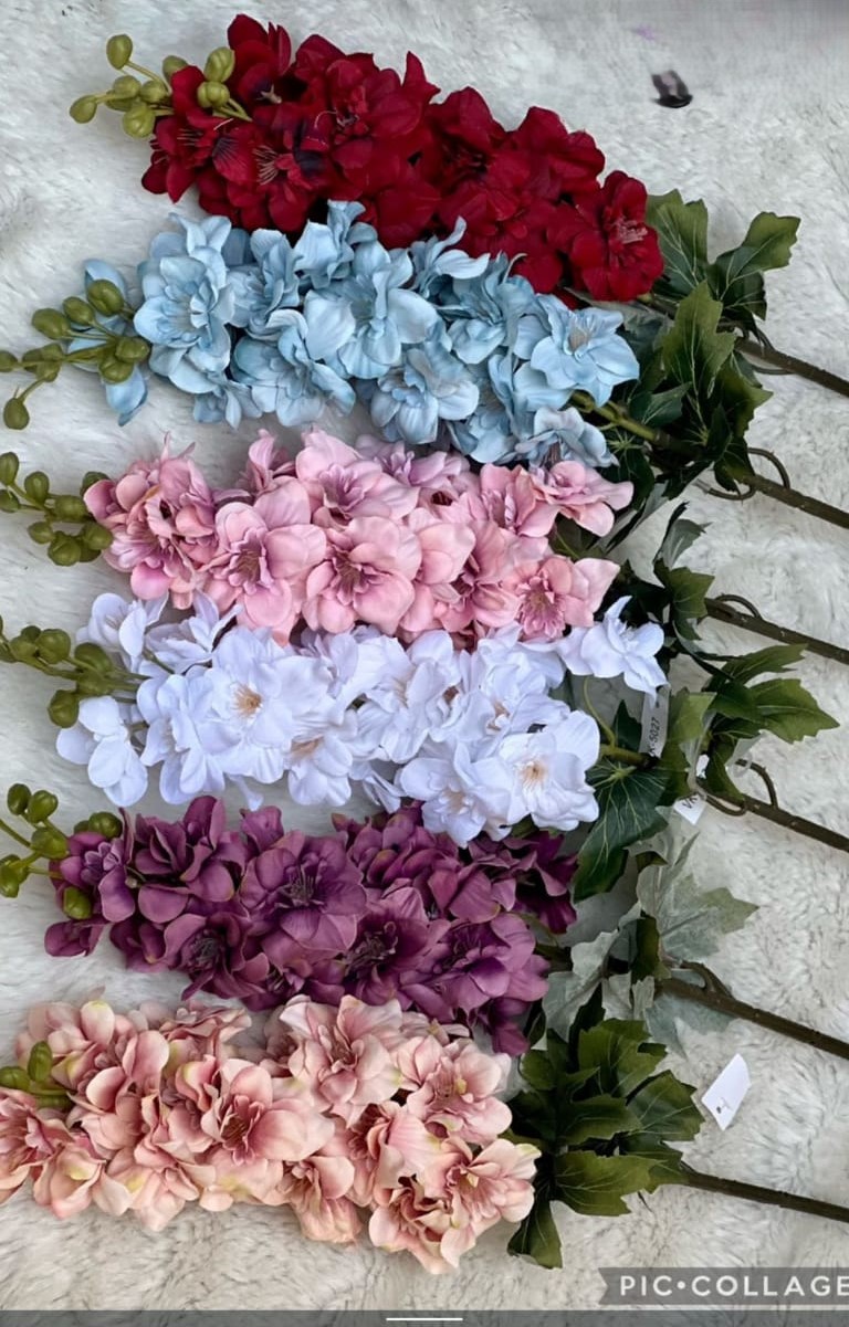 Gladiolus Flower Stems