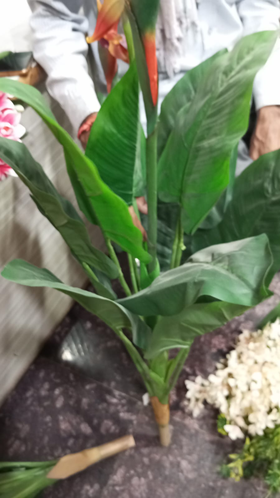 Artificial Bird of Paradise Plant