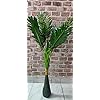 Artificial Palm Plant