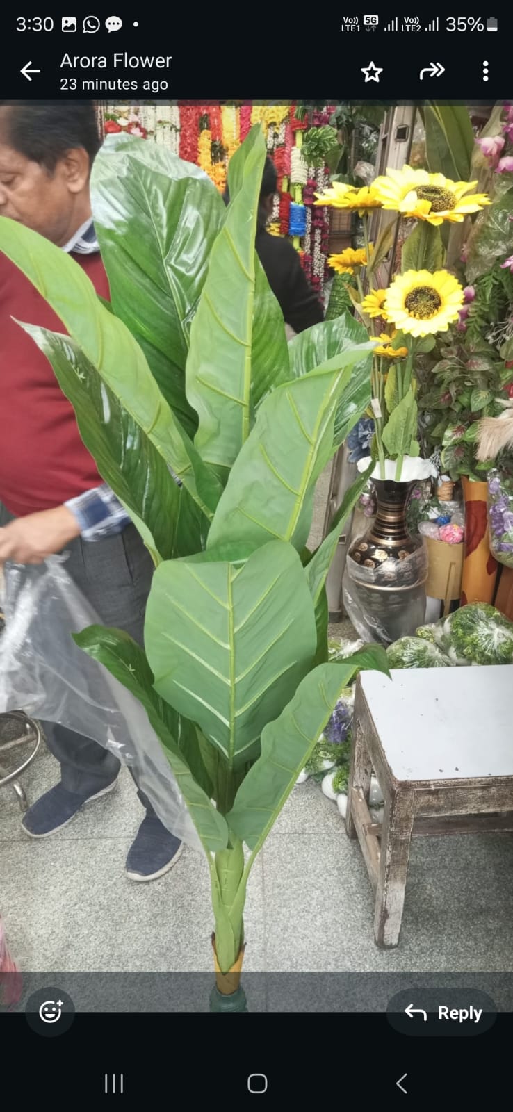 Artificial Banana Plant