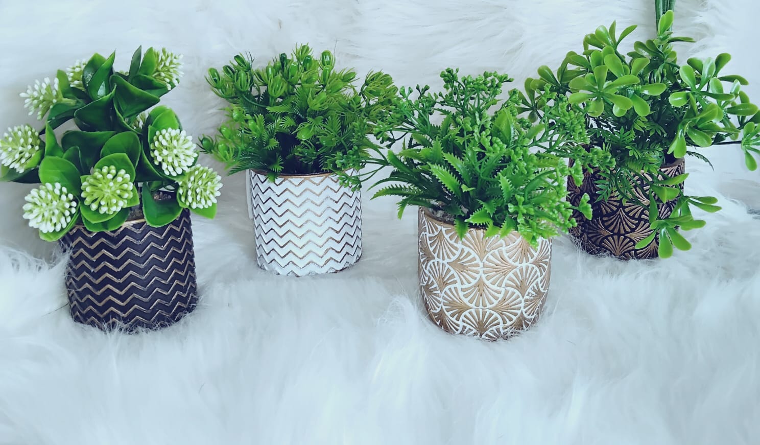 Decorative Potted Plants