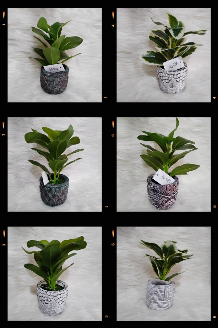 Set of Potted Plants