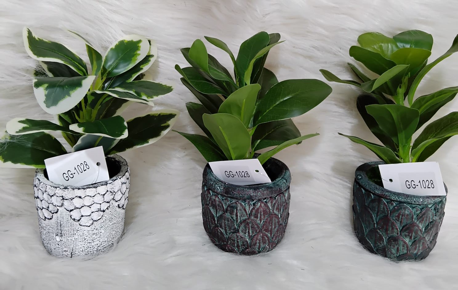 Decorative Potted Plants