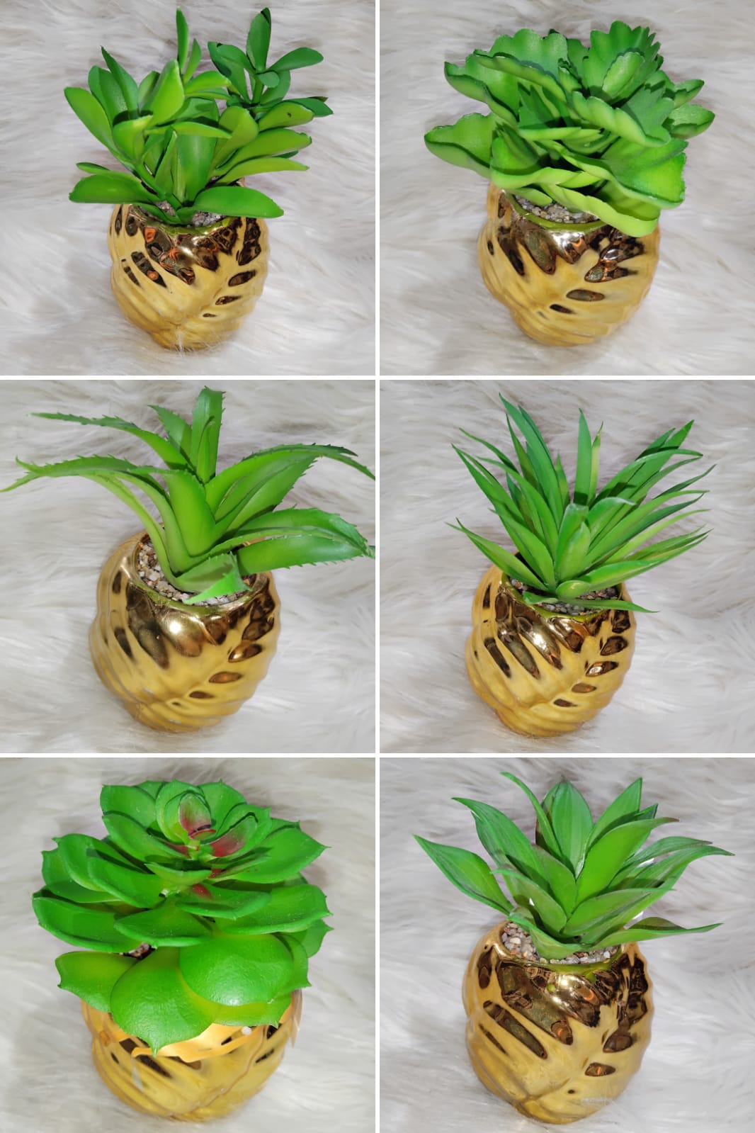 Artificial Succulent Plants in Golden Pot