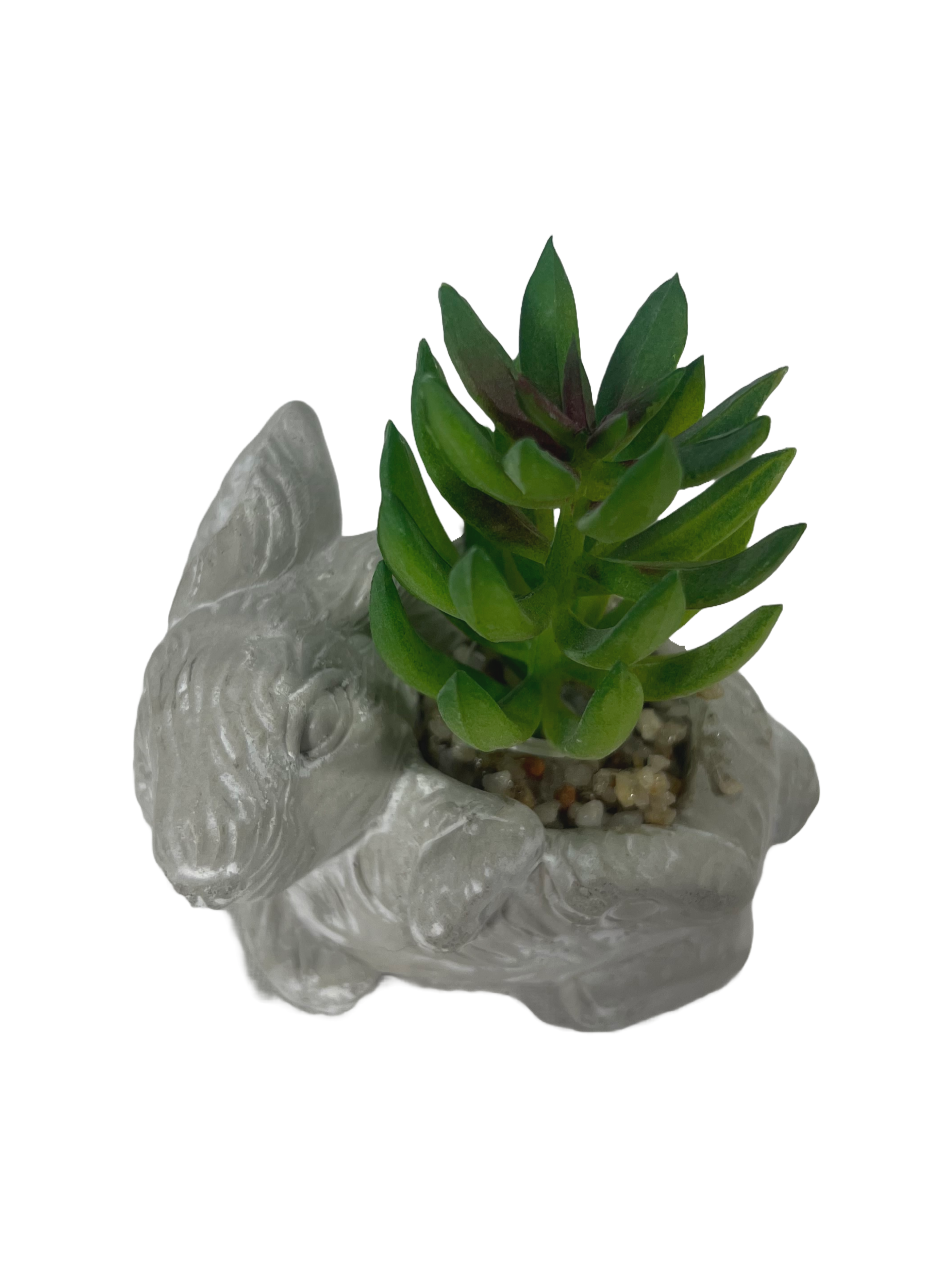 The Green Gallery Bunny Succulent Planter Collection – Mini Animal-Shaped Pots with Artificial Green Plants | Set of 6 Styles | 7–8 cm 