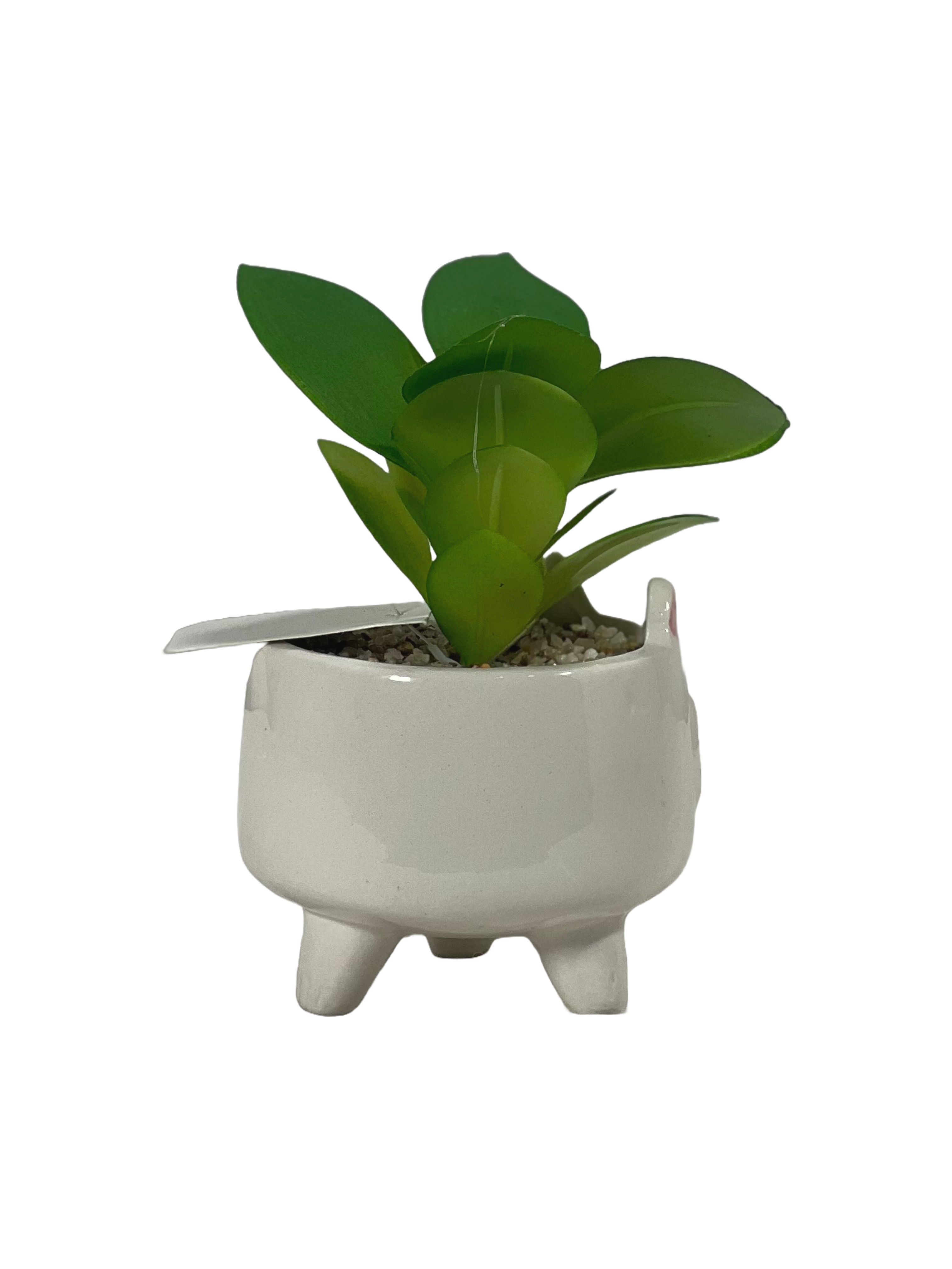 The Green Gallery Animal Face Ceramic Planter with Artificial Succulent – Cute Mini Pot for Desk & Gifting | Sleepy Cat, Happy Bunny & Chill Pup – 10 cm