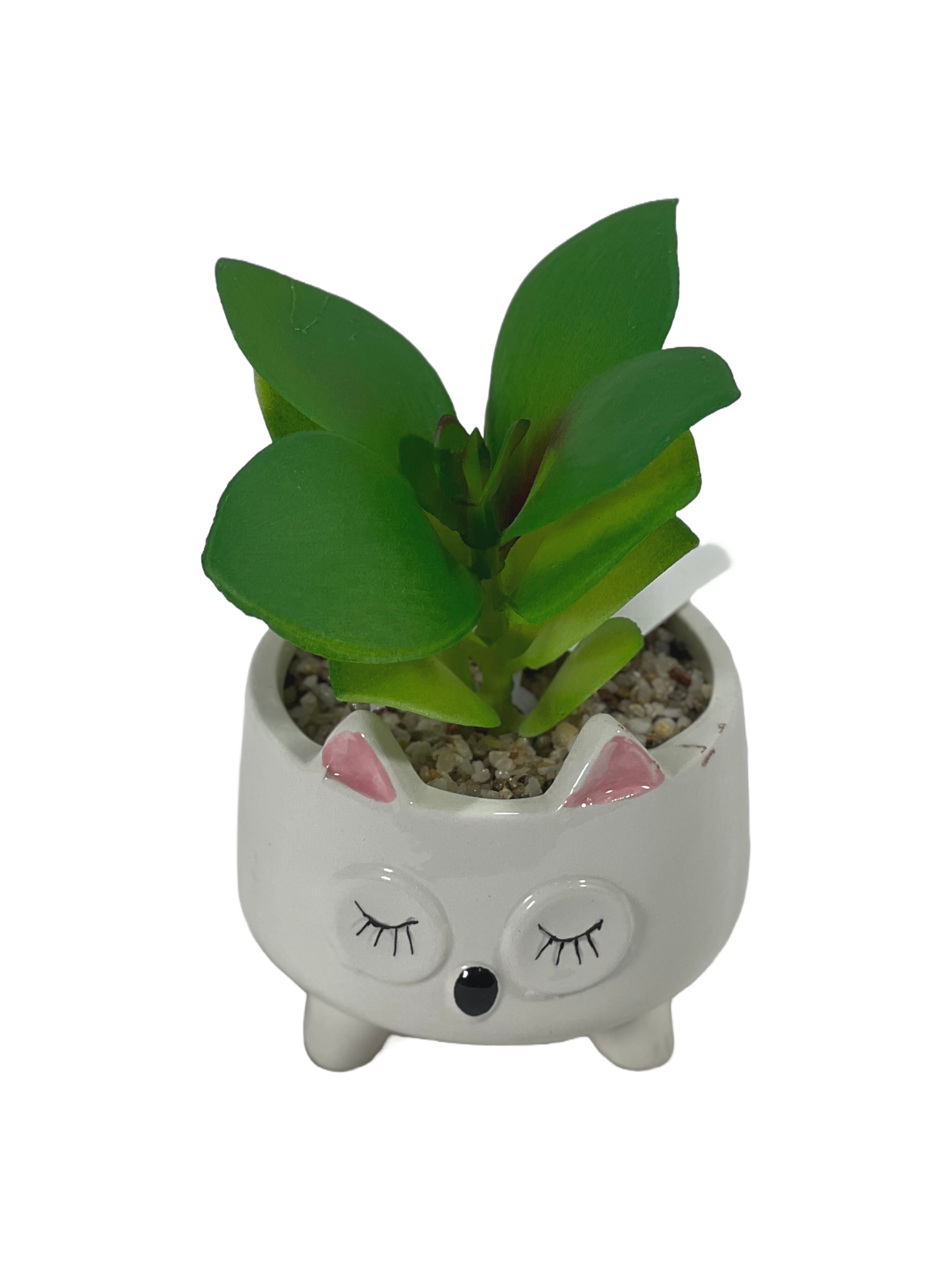 The Green Gallery Animal Face Ceramic Planter with Artificial Succulent – Cute Mini Pot for Desk & Gifting | Sleepy Cat, Happy Bunny & Chill Pup – 10 cm