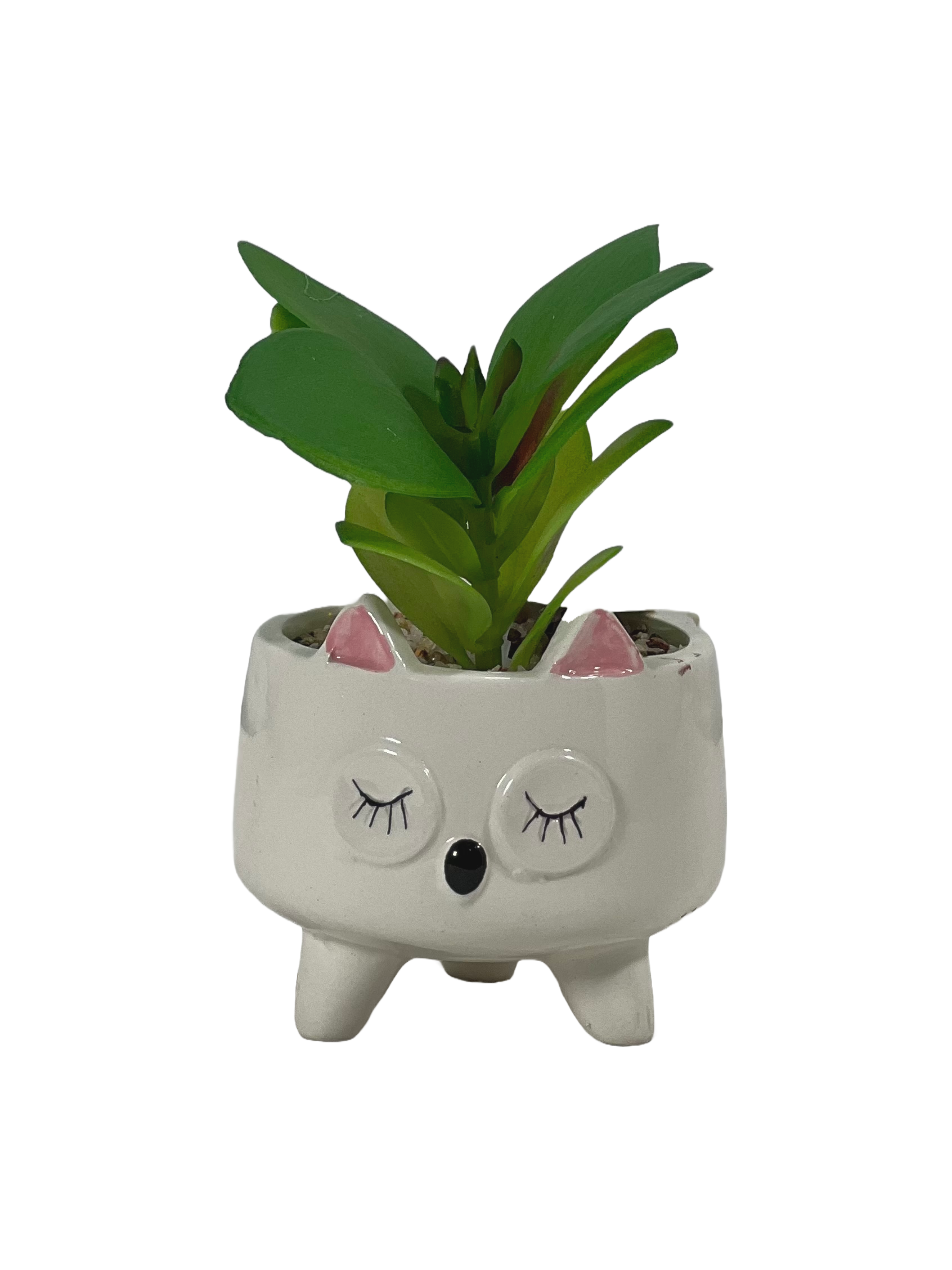 The Green Gallery Animal Face Ceramic Planter with Artificial Succulent – Cute Mini Pot for Desk & Gifting | Sleepy Cat, Happy Bunny & Chill Pup – 10 cm