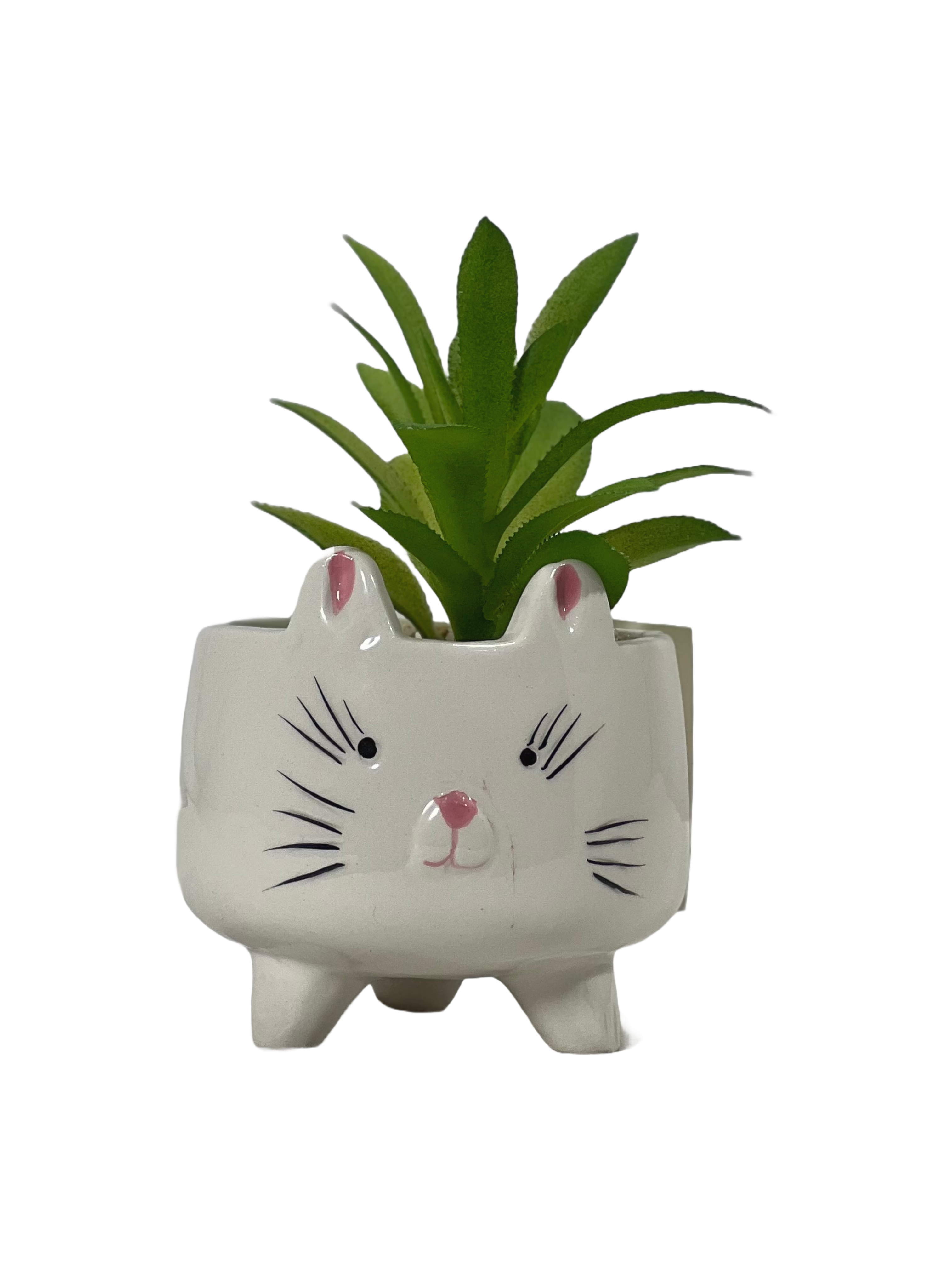 The Green Gallery Animal Face Ceramic Planter with Artificial Succulent – Cute Mini Pot for Desk & Gifting | Sleepy Cat, Happy Bunny & Chill Pup – 10 cm