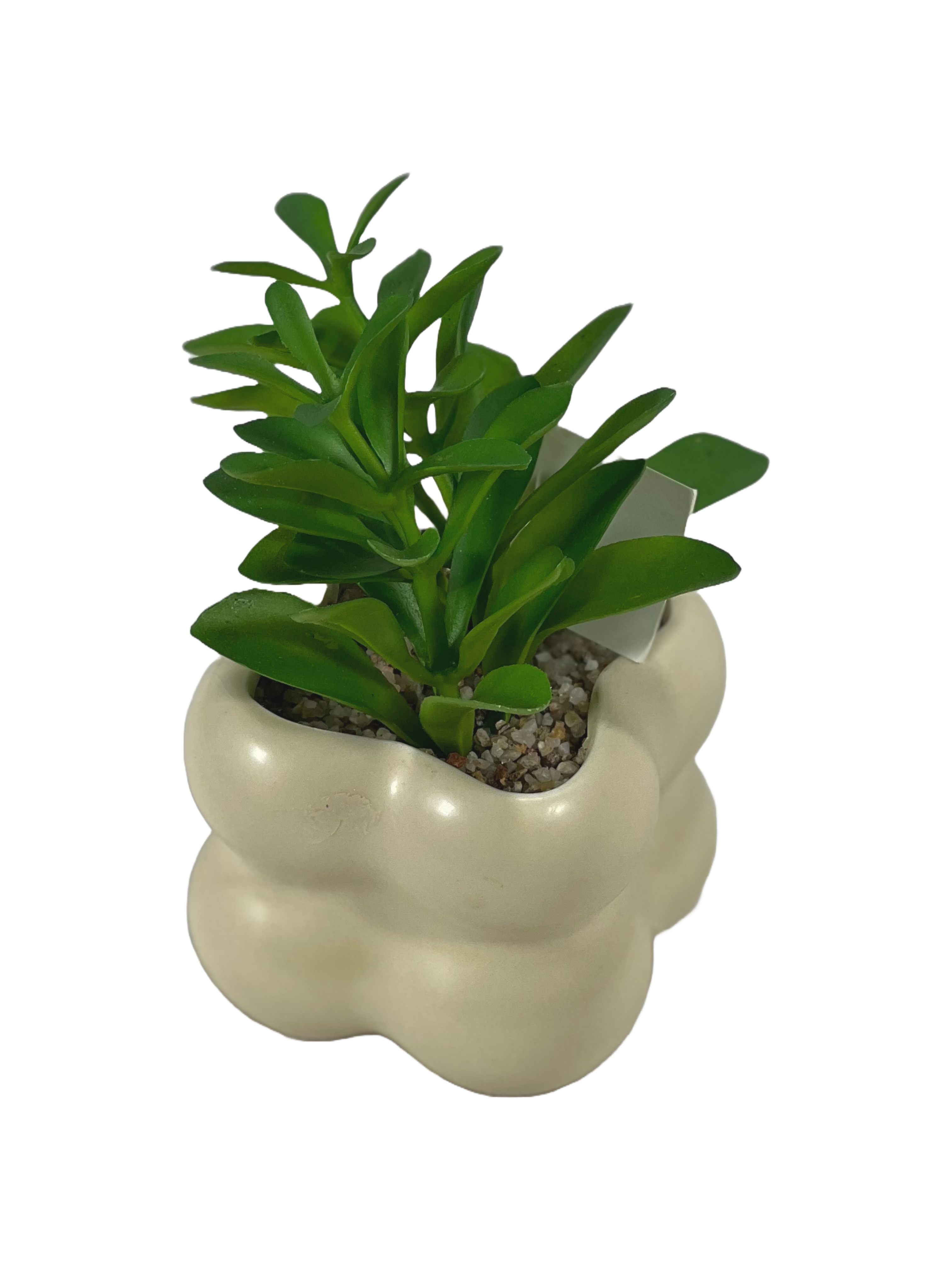 The Green Gallery Cream Bubble Pot with Artificial Succulent – Matte Ceramic Mini Planter | 2 Variants | 10 cm
