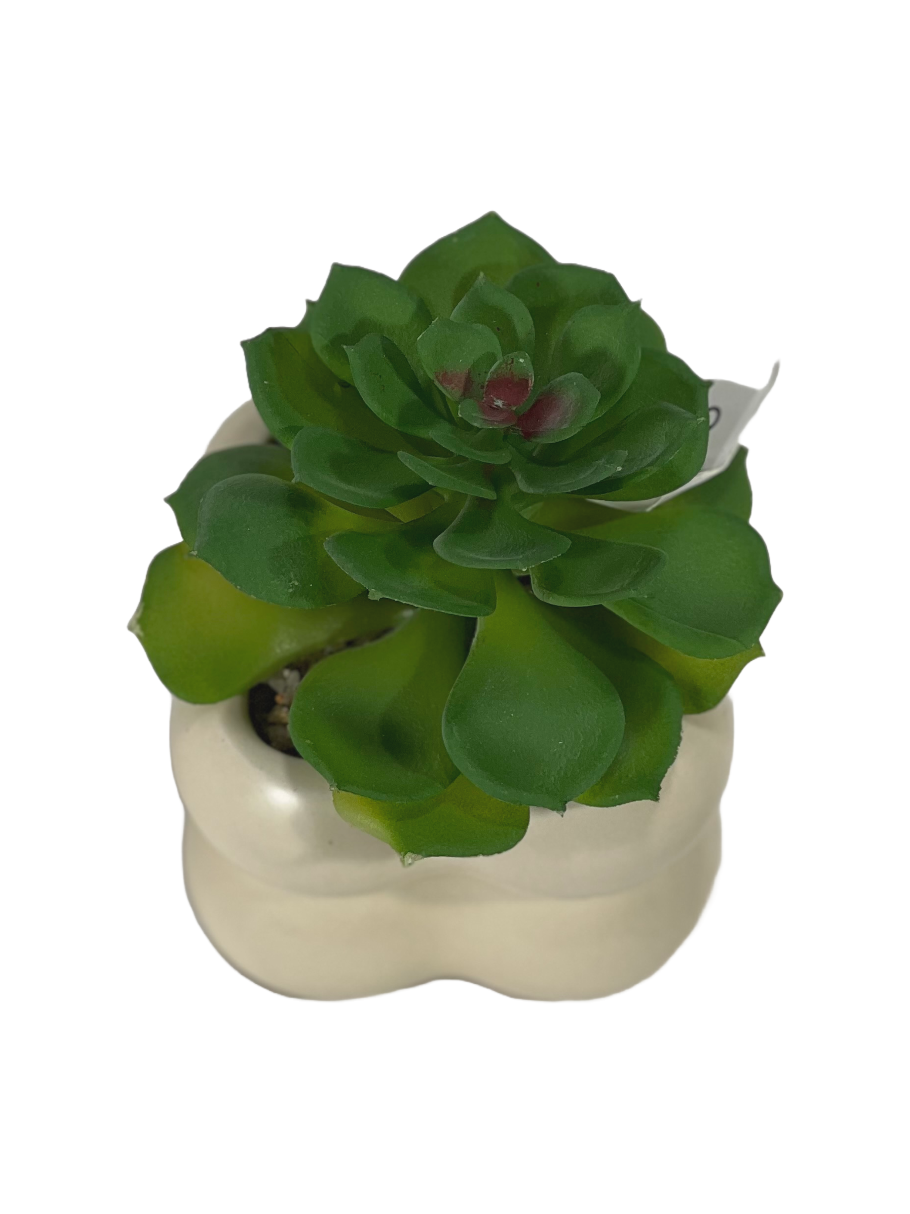 The Green Gallery Cream Bubble Pot with Artificial Succulent – Matte Ceramic Mini Planter | 2 Variants | 10 cm