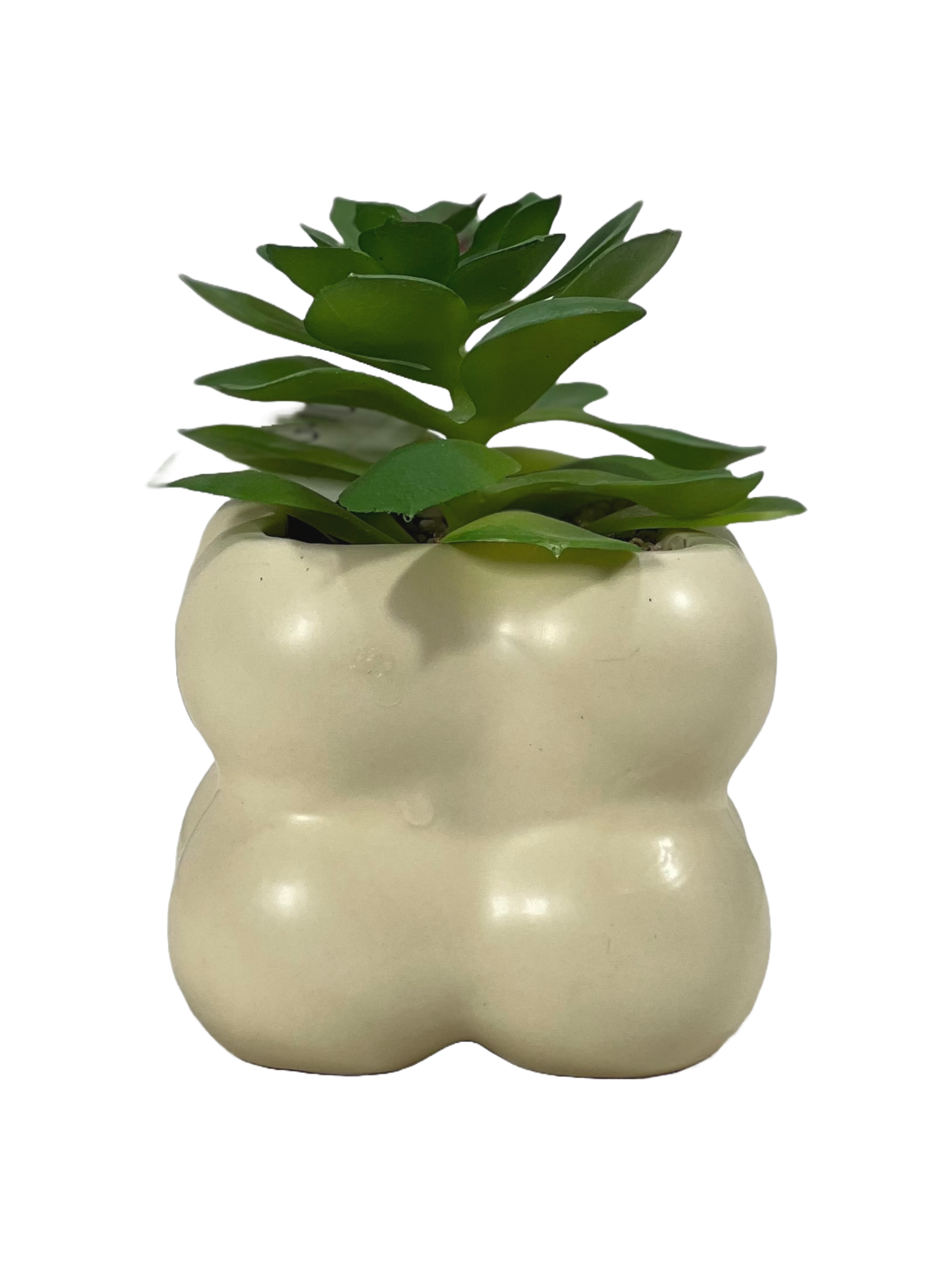 The Green Gallery Cream Bubble Pot with Artificial Succulent – Matte Ceramic Mini Planter | 2 Variants | 10 cm