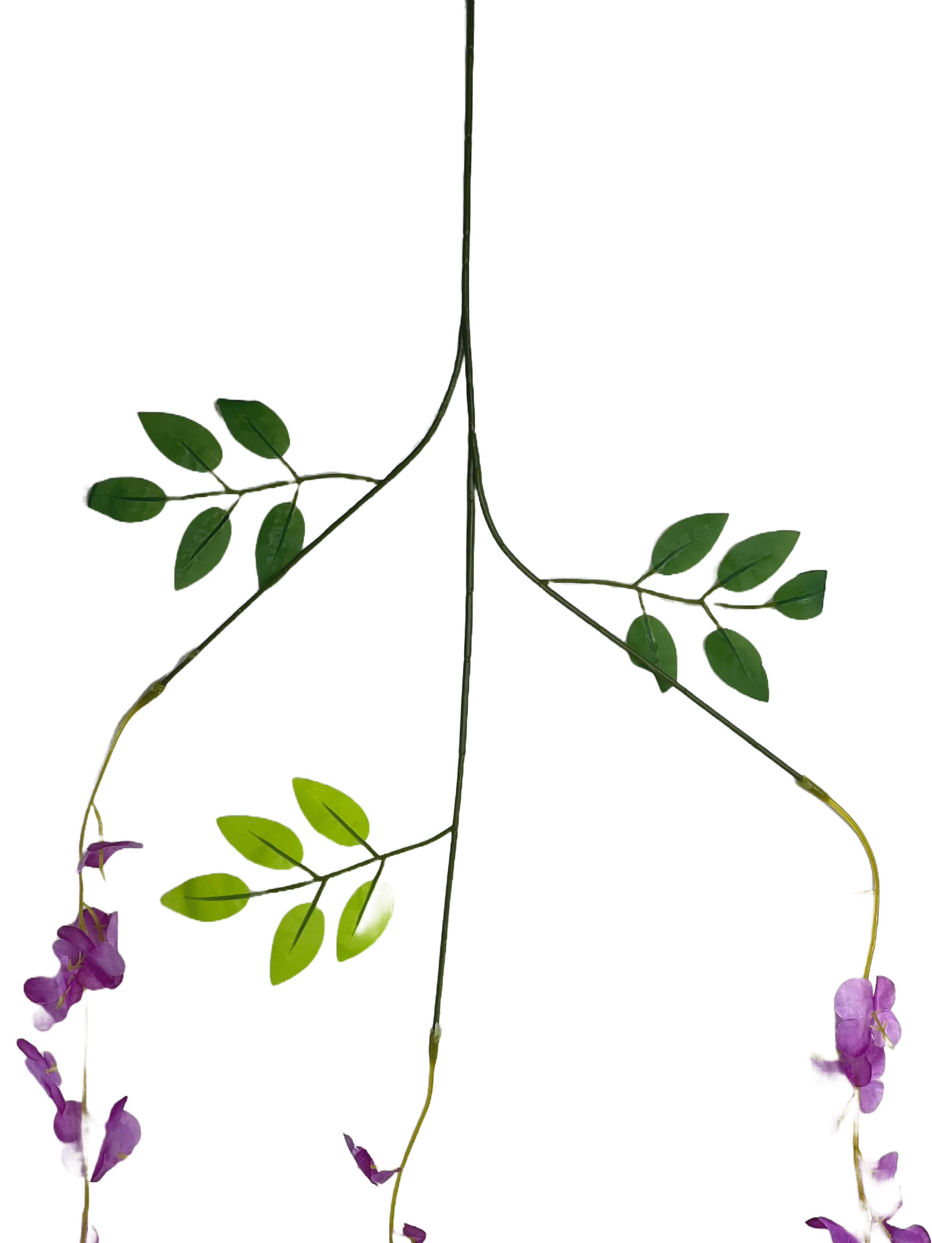 The Green Gallery Artificial Hanging Wisteria Vine – 100 cm Silk Garland (Pack of 12) for Home, Event, and Wall Decor | Available in 8 Color Variants