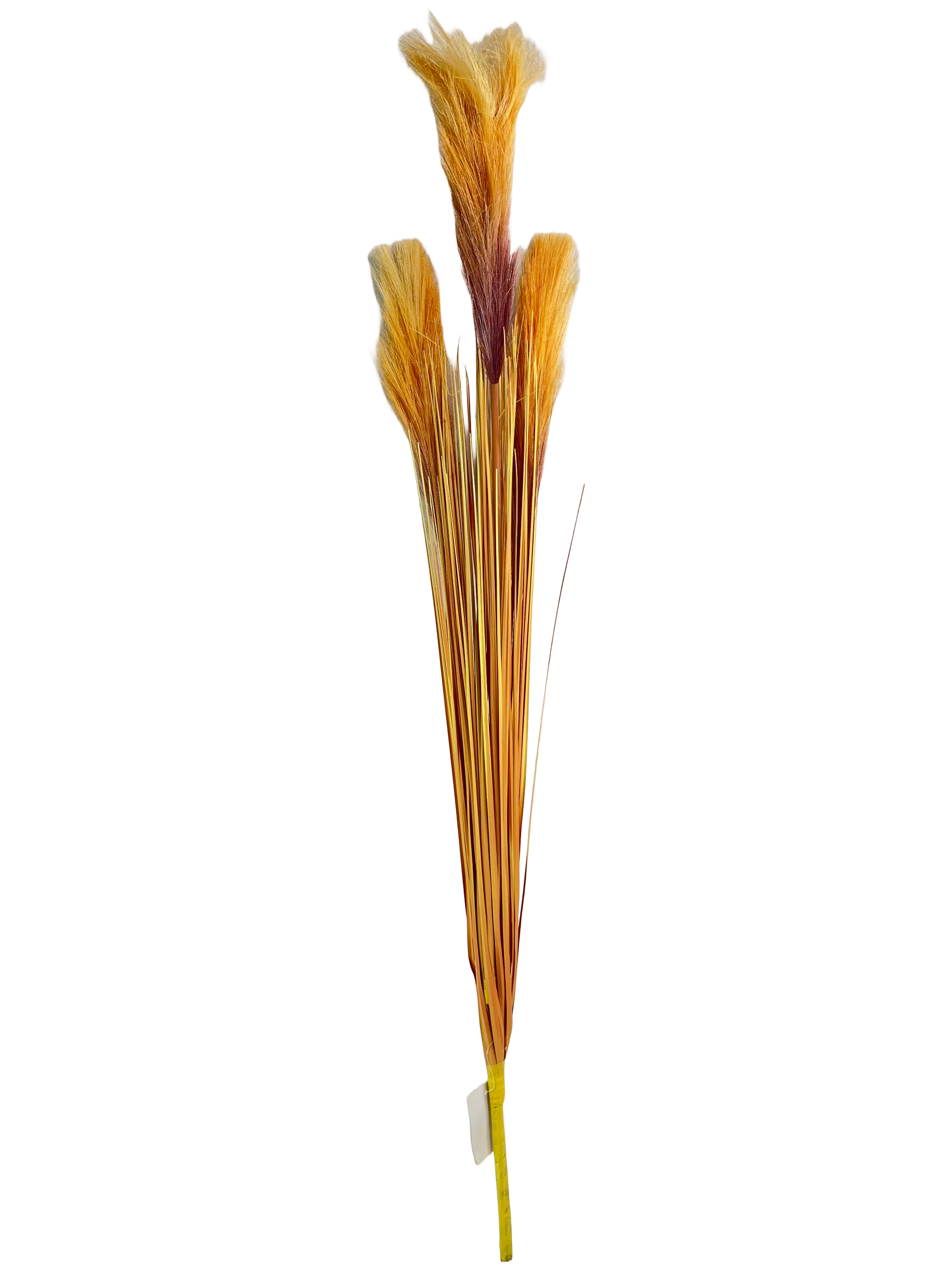The Green Gallery Artificial Pampas Grass Stems | Set of 6 Faux Boho Reed Bunches for Vase Arrangement, Home & Office Decor – Multicolor Variants
