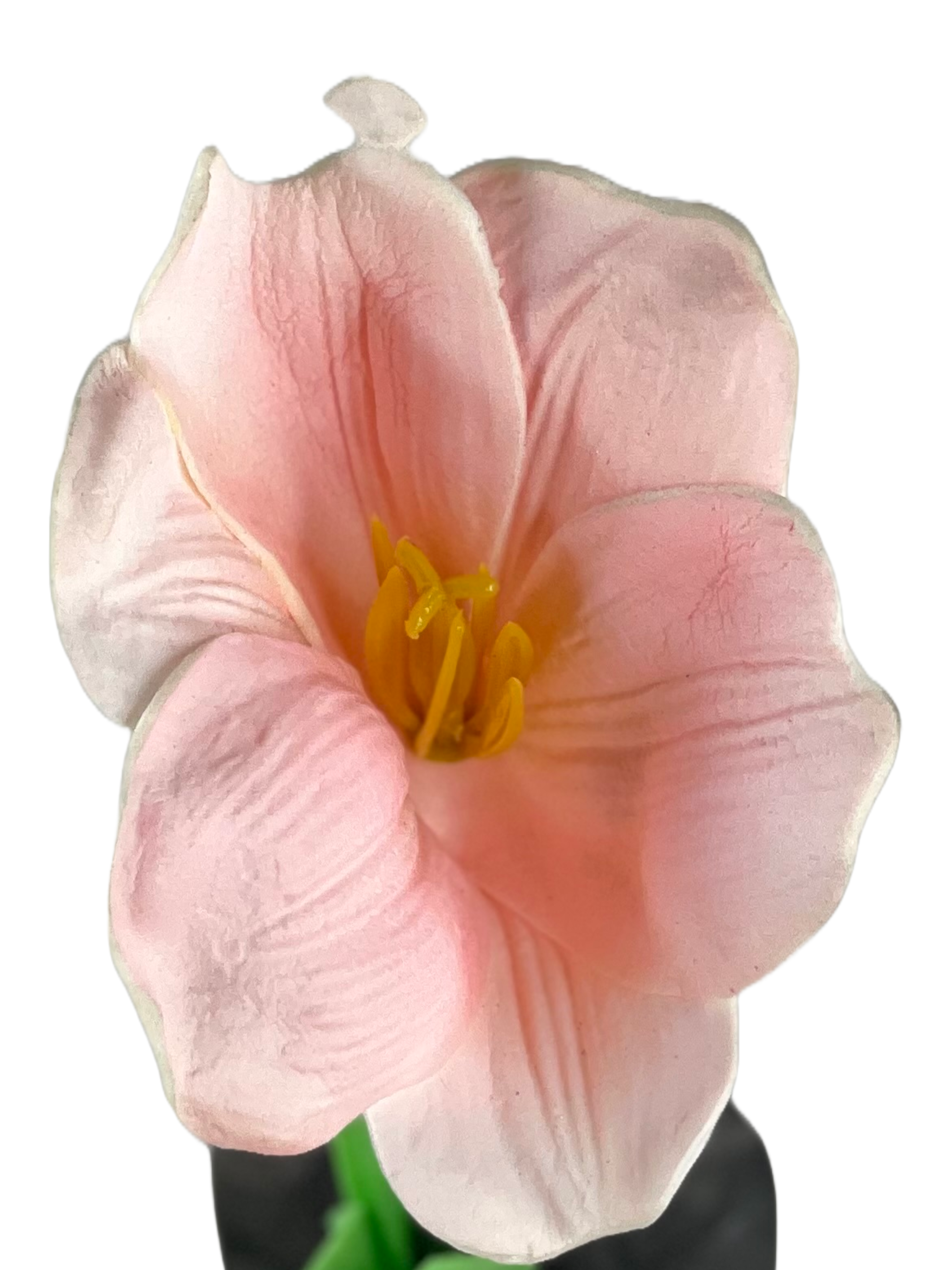 The Green Gallery Artificial Tulip Flower Stem | Single Faux Bloom for DIY Arrangements, Bouquets & Home Decor – 30 cm Height – 5 Color Options