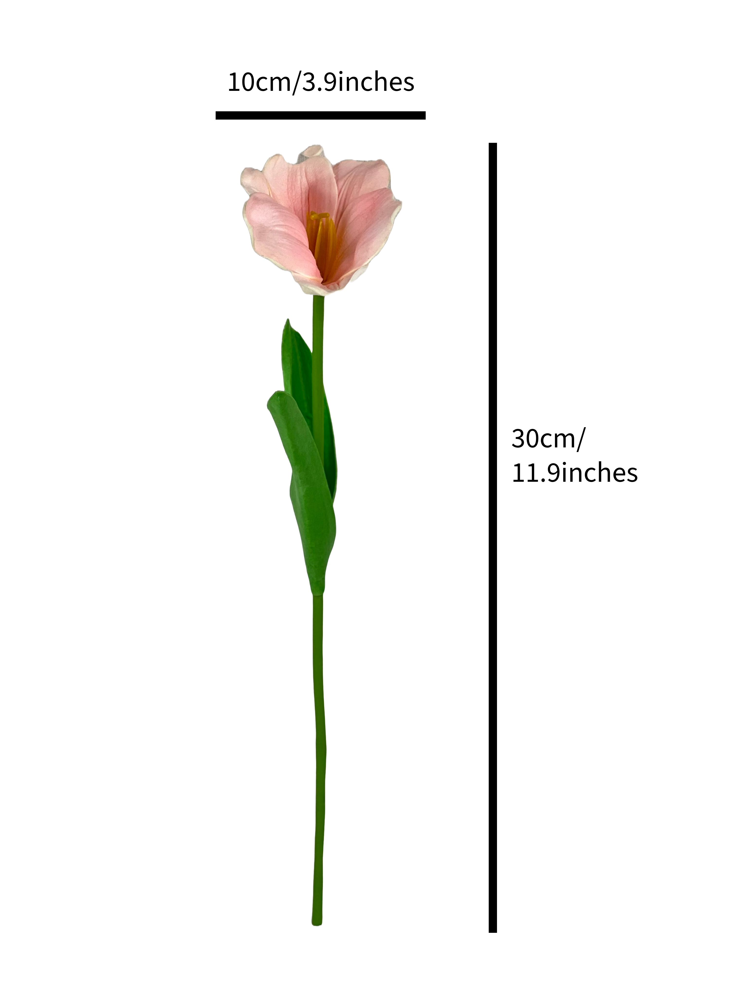 The Green Gallery Artificial Tulip Flower Stem | Single Faux Bloom for DIY Arrangements, Bouquets & Home Decor – 30 cm Height – 5 Color Options