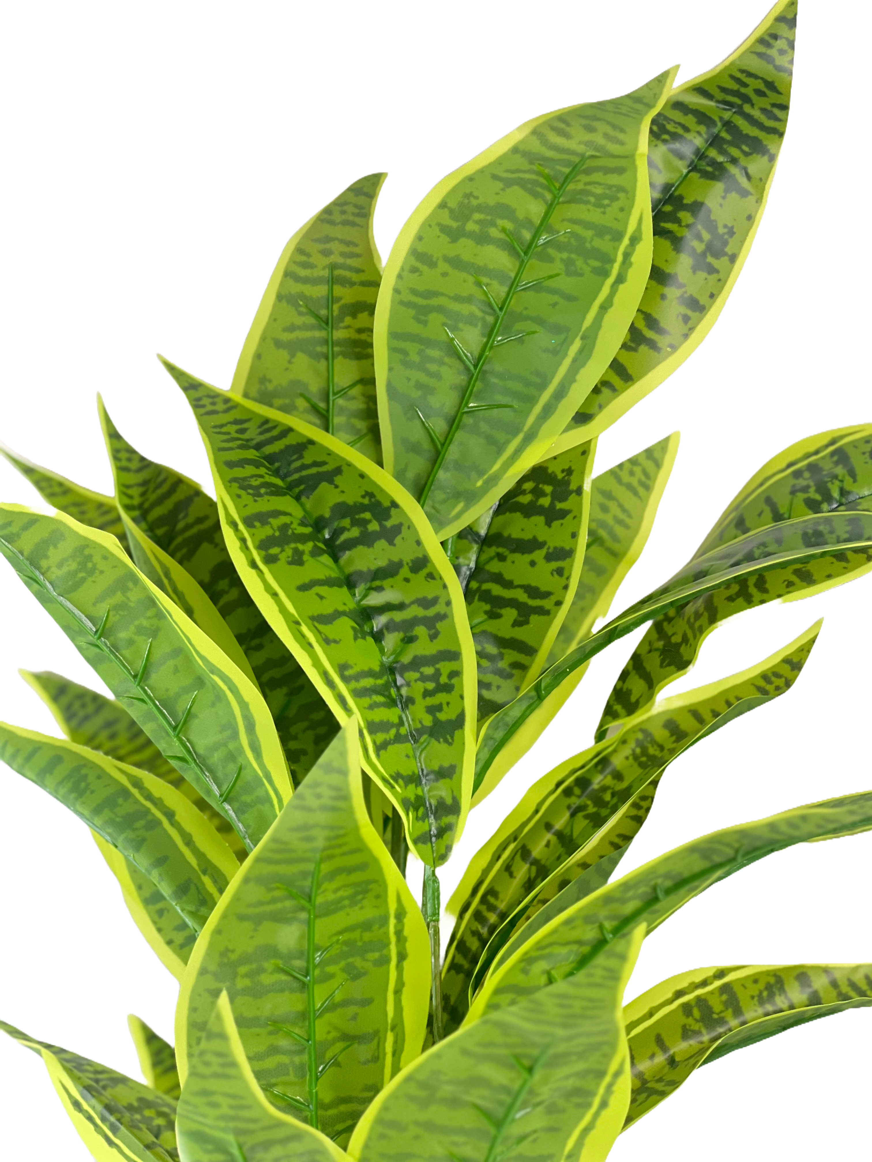 The Green Gallery Artificial Snake Plant Bunch – 70cm Tall Faux Leaf Stem for Home & Office Décor (2 Variants)  