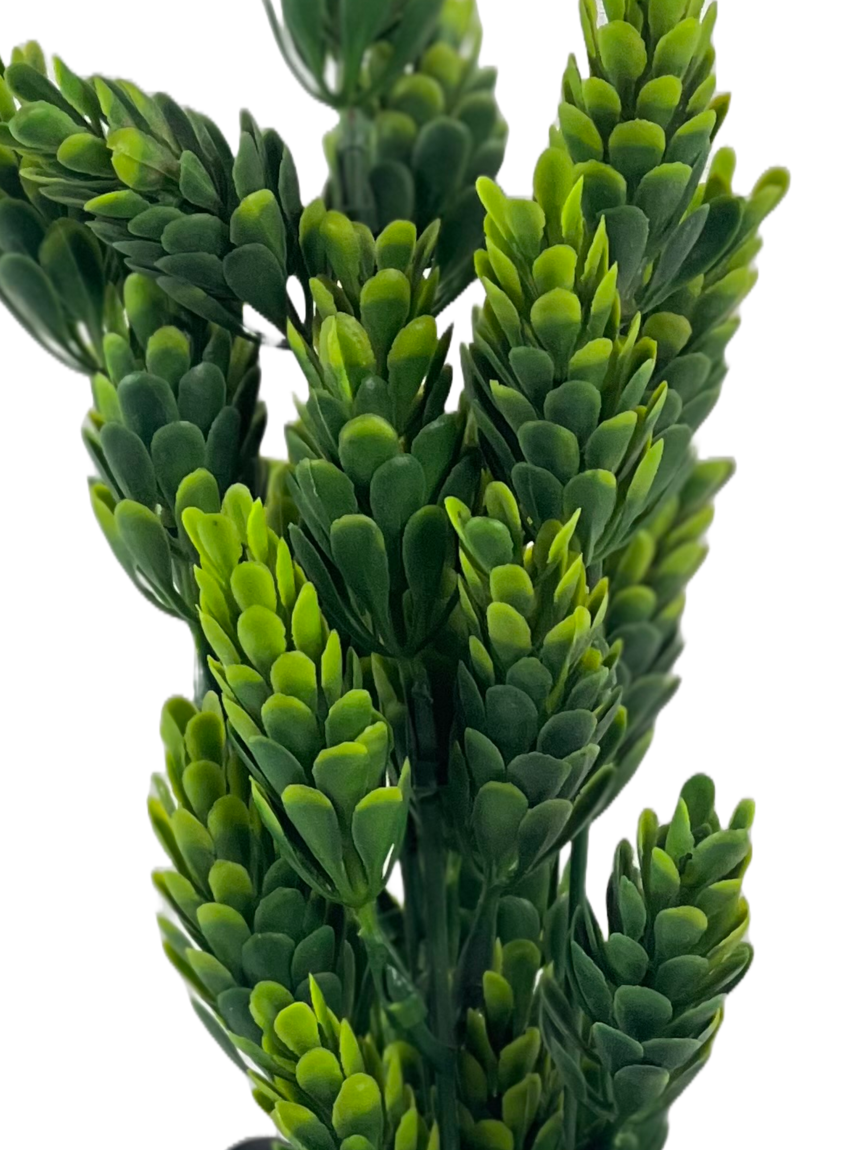The Green Gallery Artificial Corn Grass Filler Bunch – 32.5cm Natural Look for Bouquets, Jars & Vases (2 Colors)