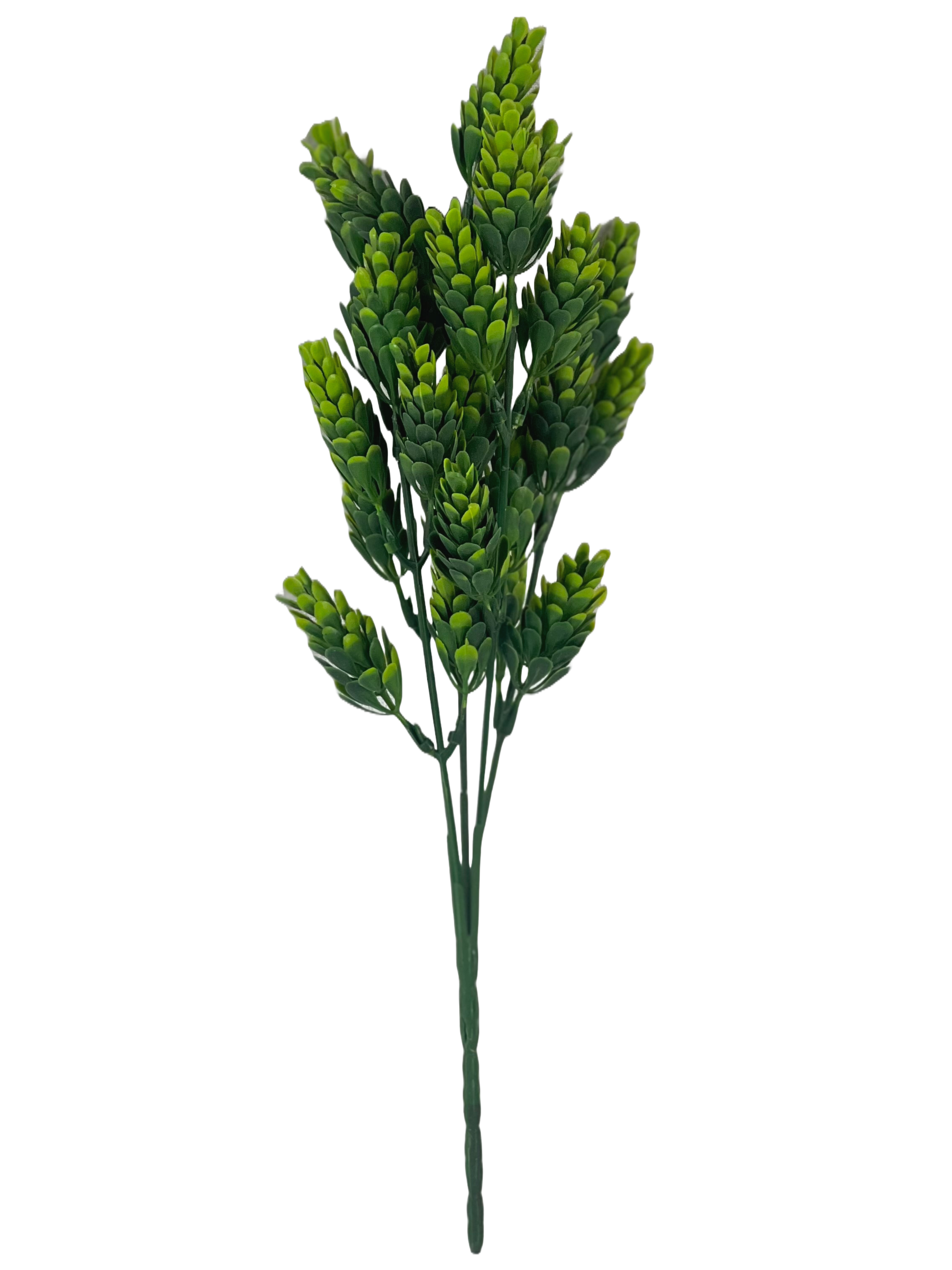 The Green Gallery Artificial Corn Grass Filler Bunch – 32.5cm Natural Look for Bouquets, Jars & Vases (2 Colors)