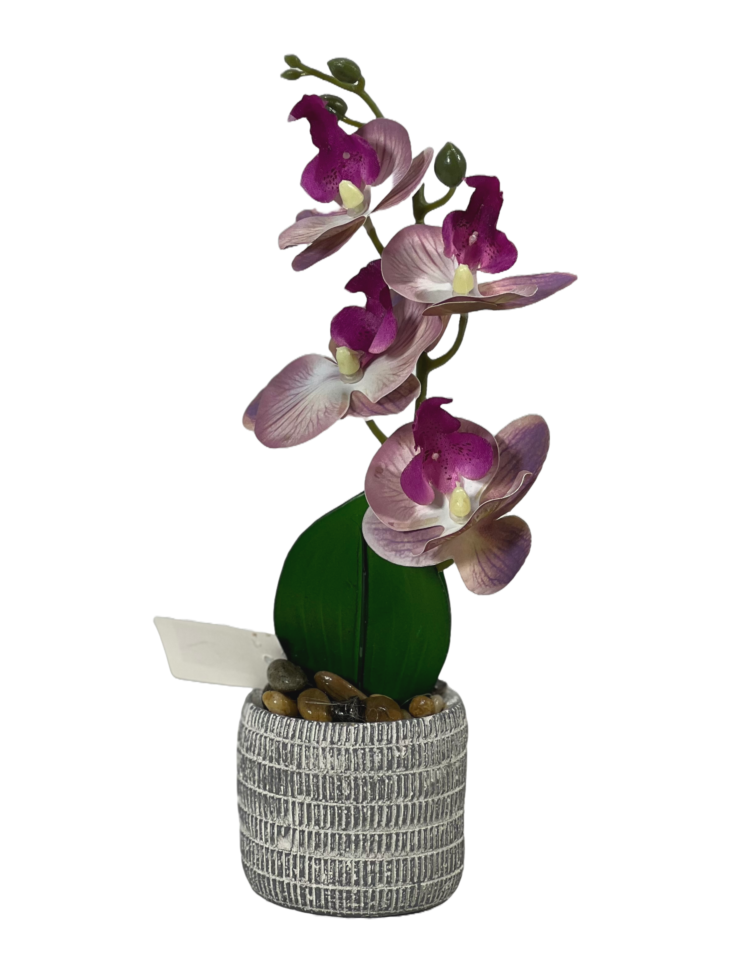 The Green Gallery Artificial Orchid Plant in Grey Ceramic Pot – Realistic Faux Floral Decor for Home, Office & Gifting | 12” H x 4” W 