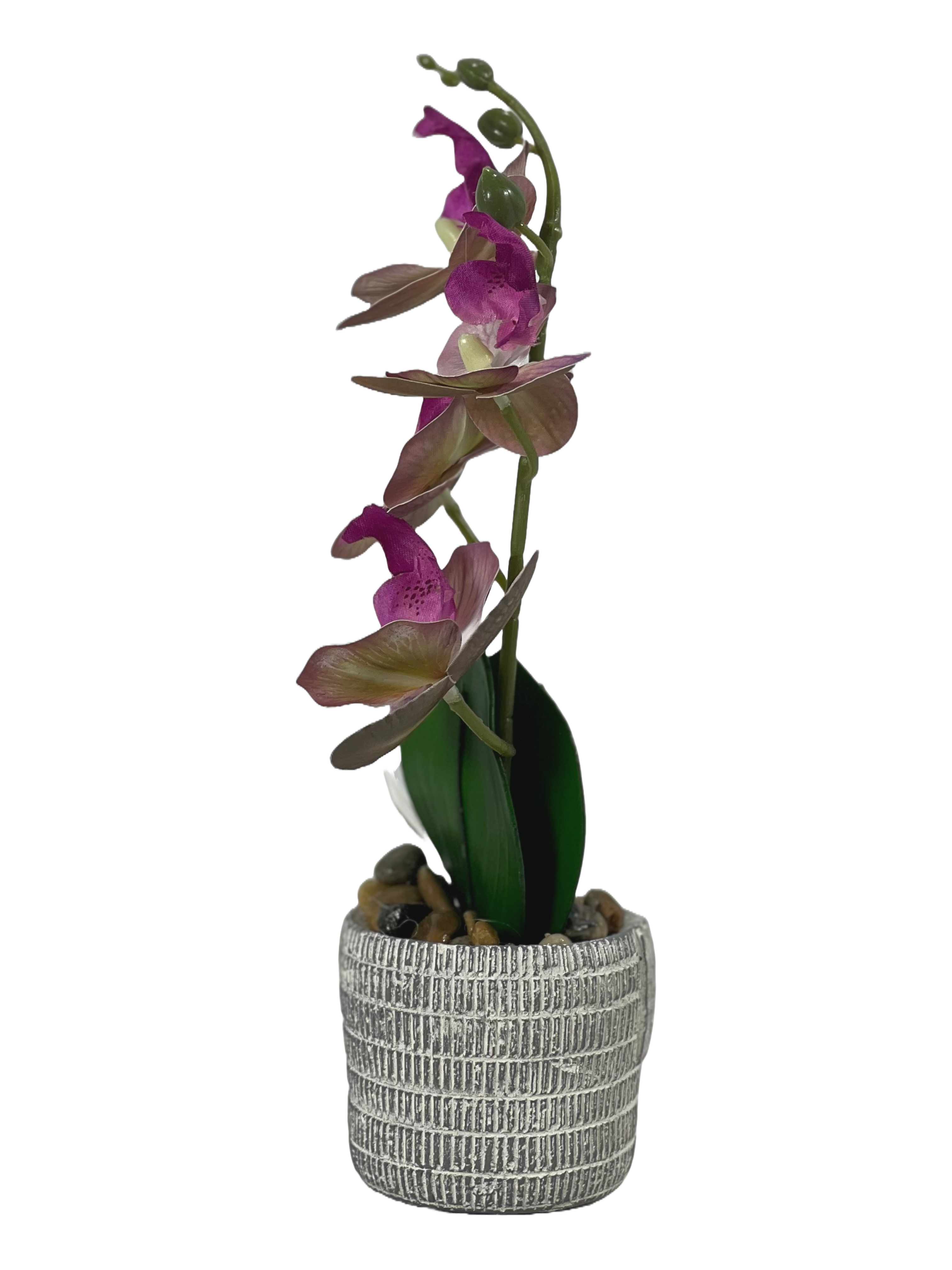 The Green Gallery Artificial Orchid Plant in Grey Ceramic Pot – Realistic Faux Floral Decor for Home, Office & Gifting | 12” H x 4” W 