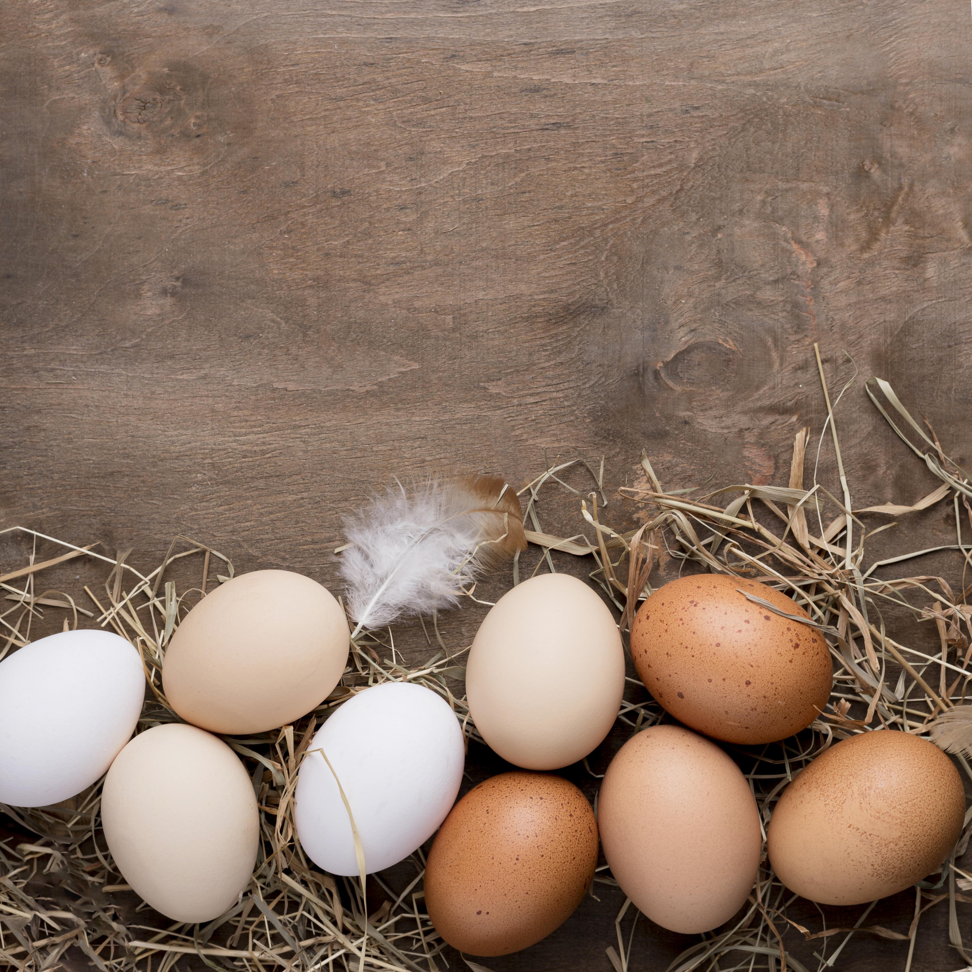 Tray of 30 Pullet Eggs