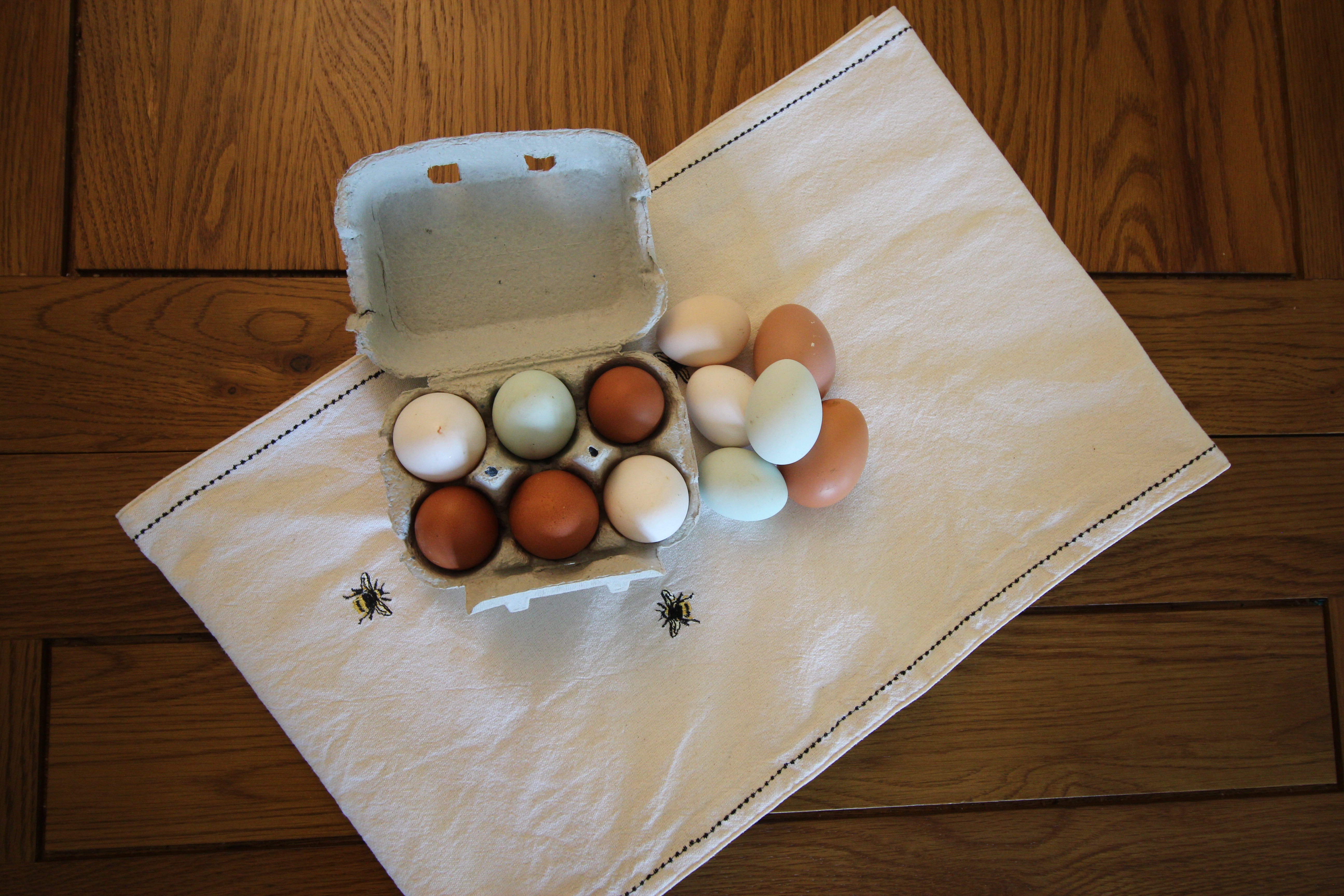 Dozen Pullet Eggs