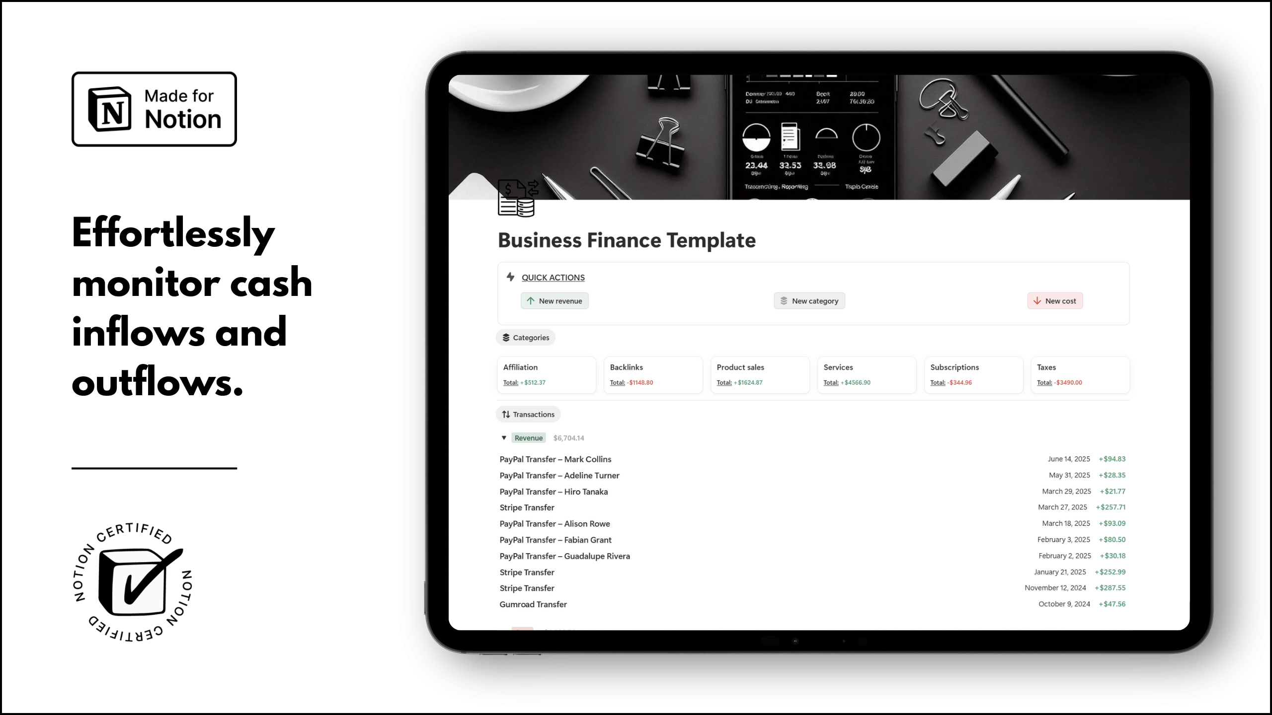 Notion Business Finance Template