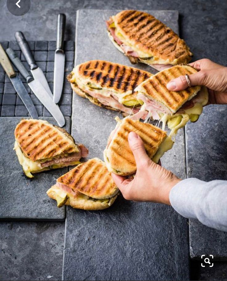 Chicken & Turkey Panini