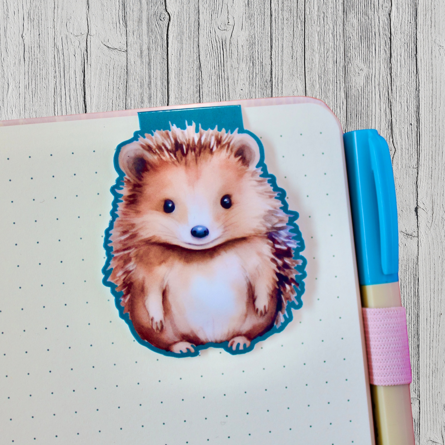 Magnetisches Buchzeichen - Igel