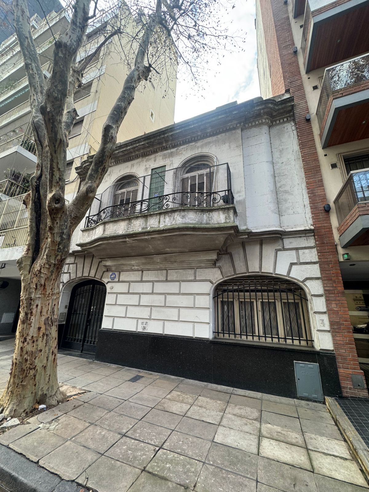 Isabel la Católica al 100
