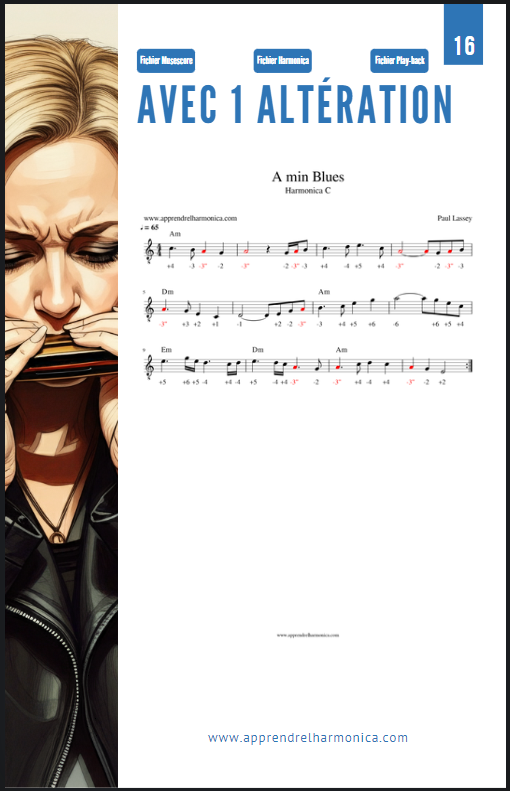 Harmonica diatonique - 100 Exercices progressifs et efficaces