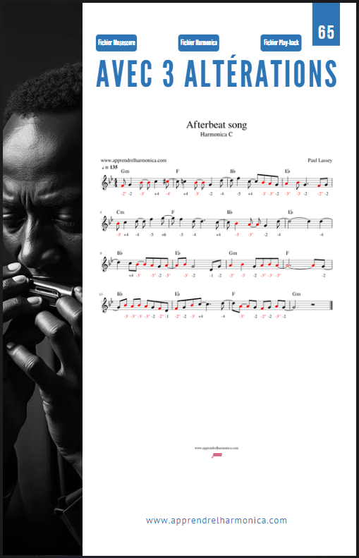 Harmonica diatonique - 100 Exercices progressifs et efficaces