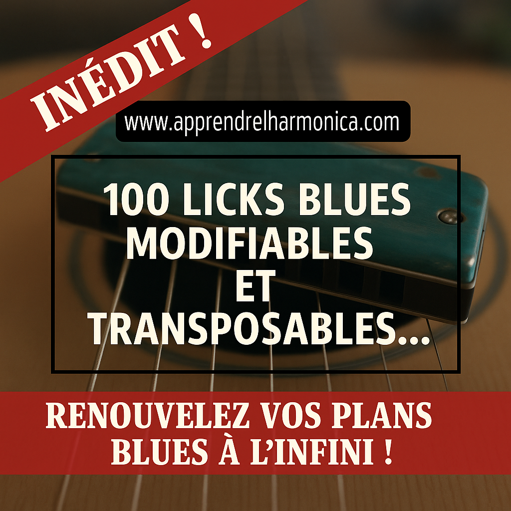 100 Licks blues modifiables et transposables