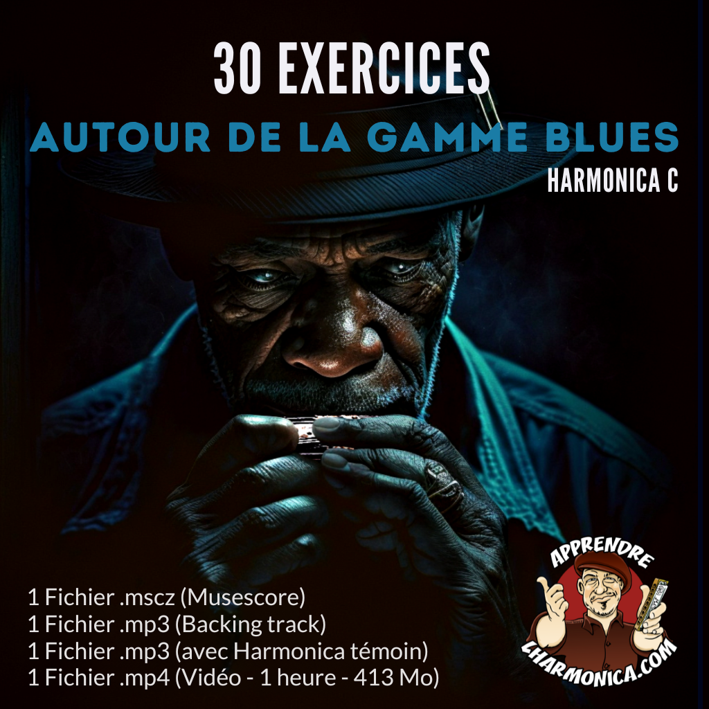 30 Exercices (Licks blues) - 2nde position - Harmonica C 
