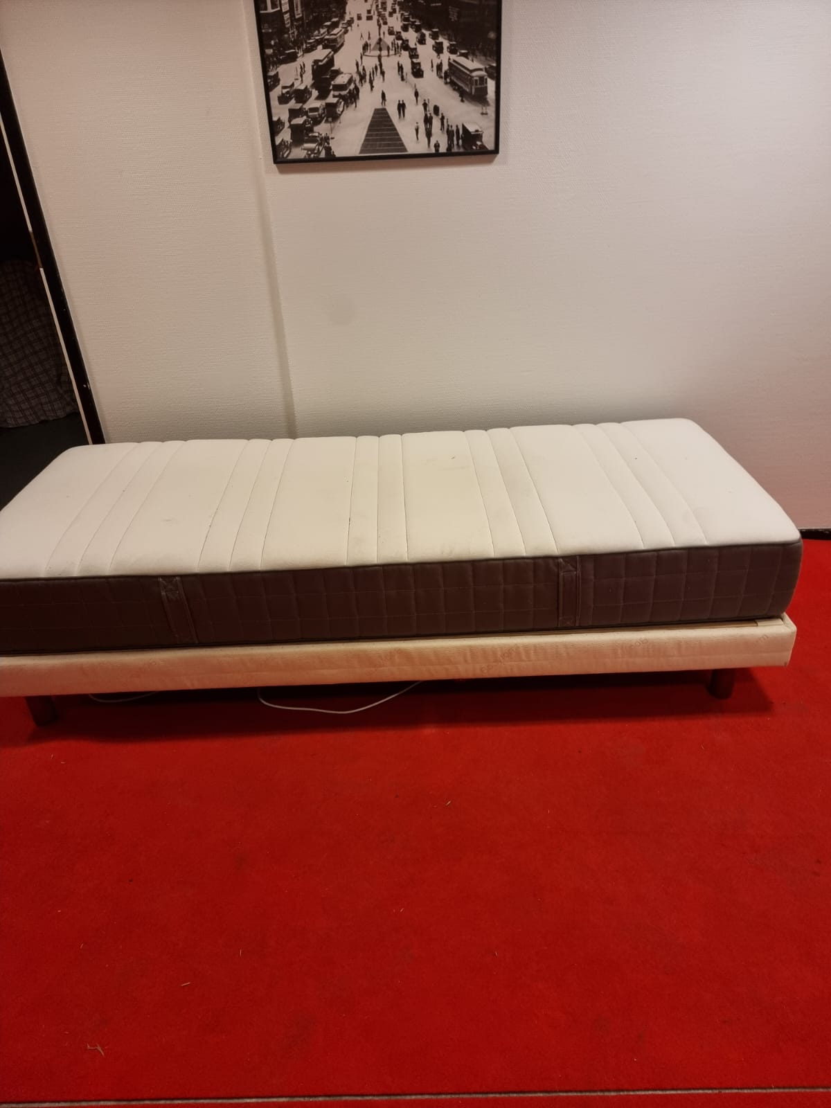 Electric Adjustable Bed 100x200