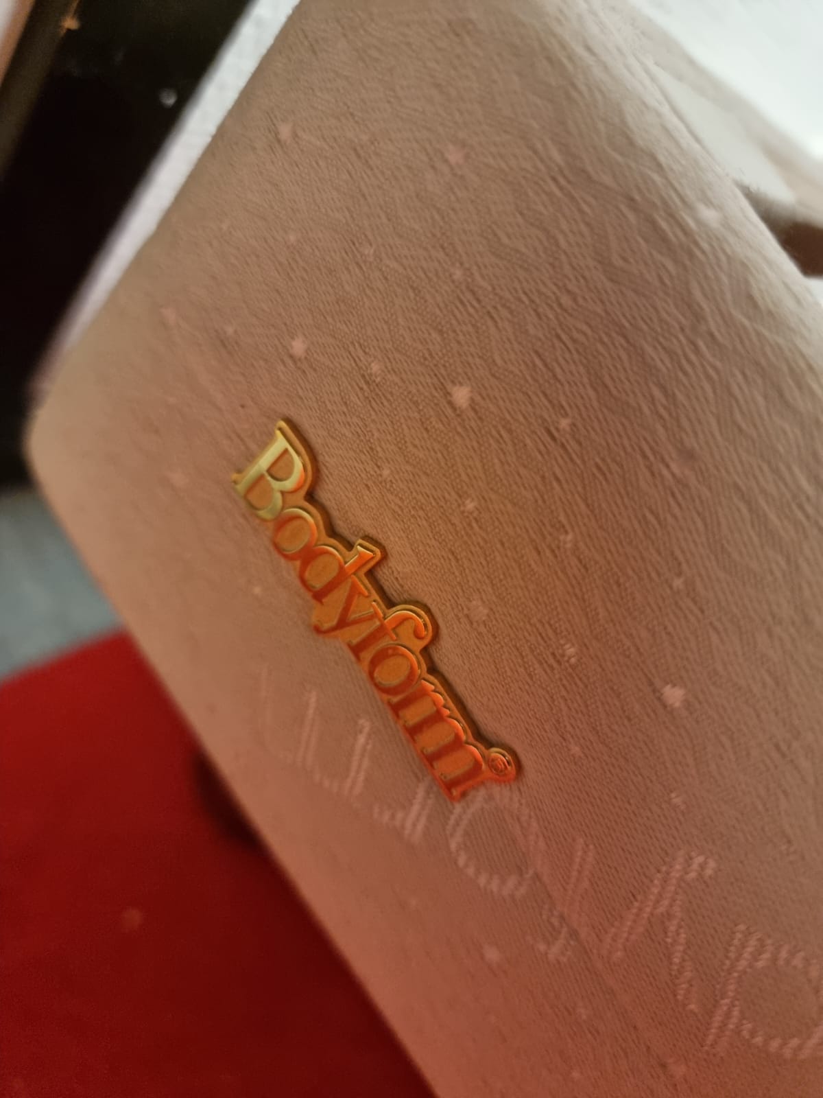 Electric Adjustable Bed 100x200