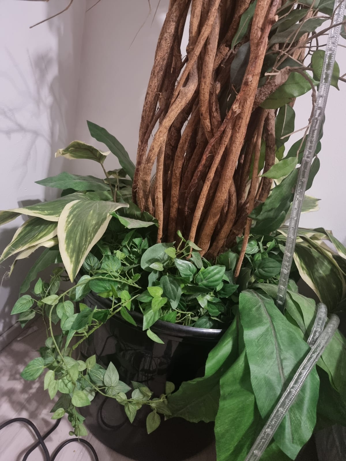 Decorative Indoor Plant with Stems