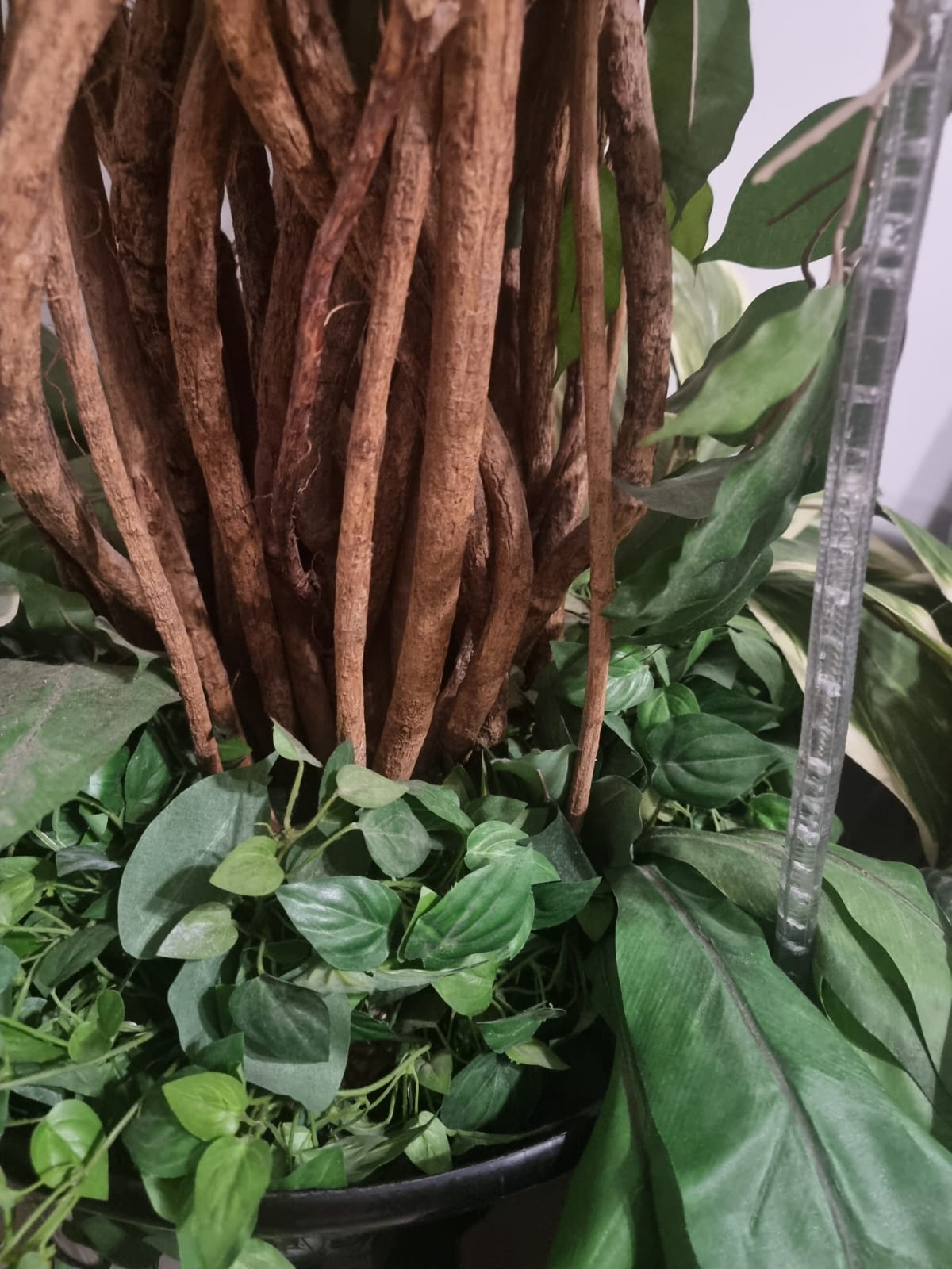 Decorative Indoor Plant with Stems